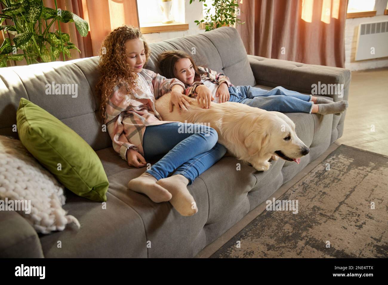 Beau chien de race, sable couleur retriver américain couché sur un canapé avec deux enfants, petites filles dans des vêtements décontractés. Concept de bonheur, famille Banque D'Images