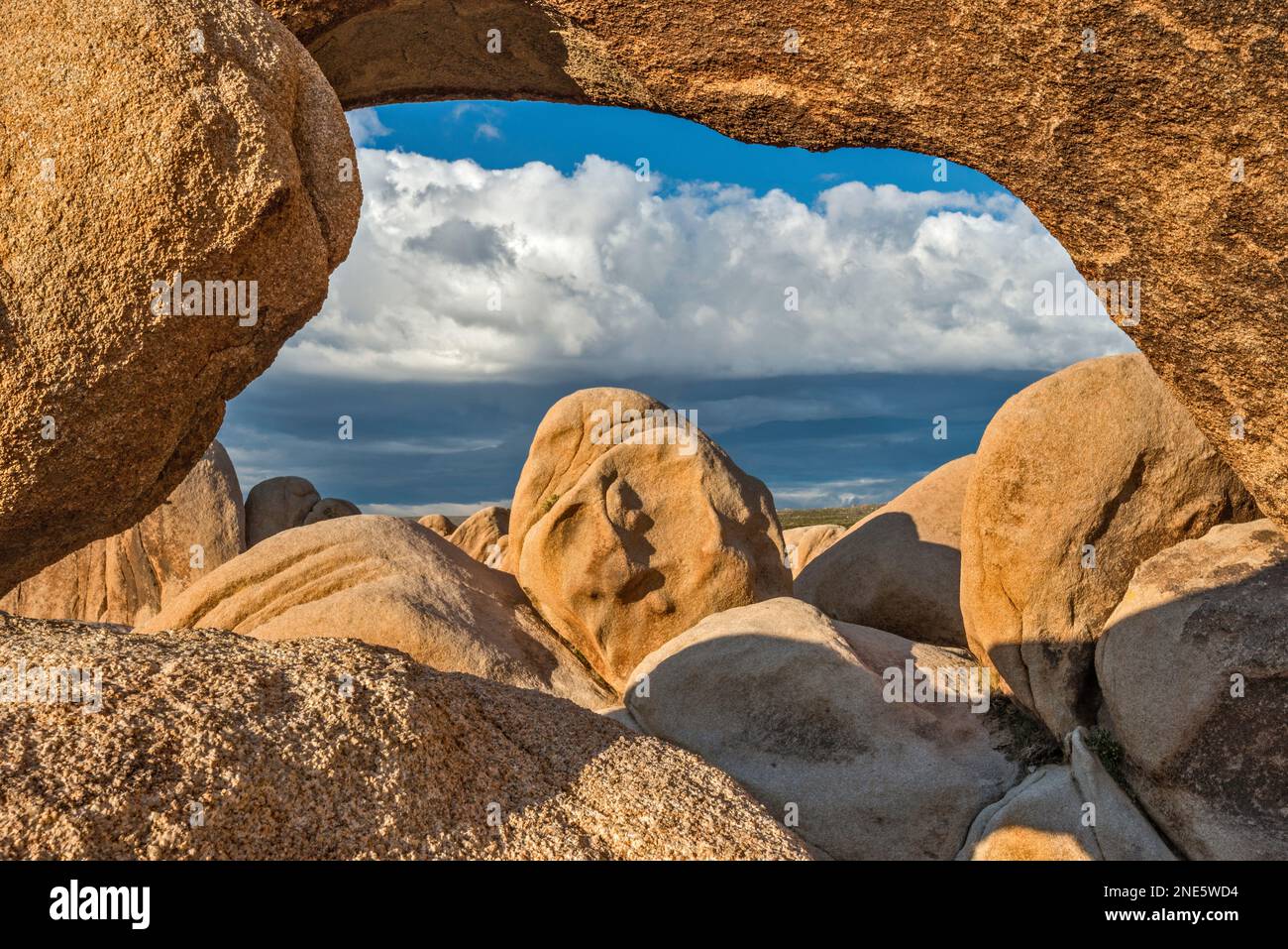 Arch Rock, roche de granit près du terrain de camping White Tank, au lever du soleil, désert de Mojave, parc national de Joshua Tree, Californie, États-Unis Banque D'Images