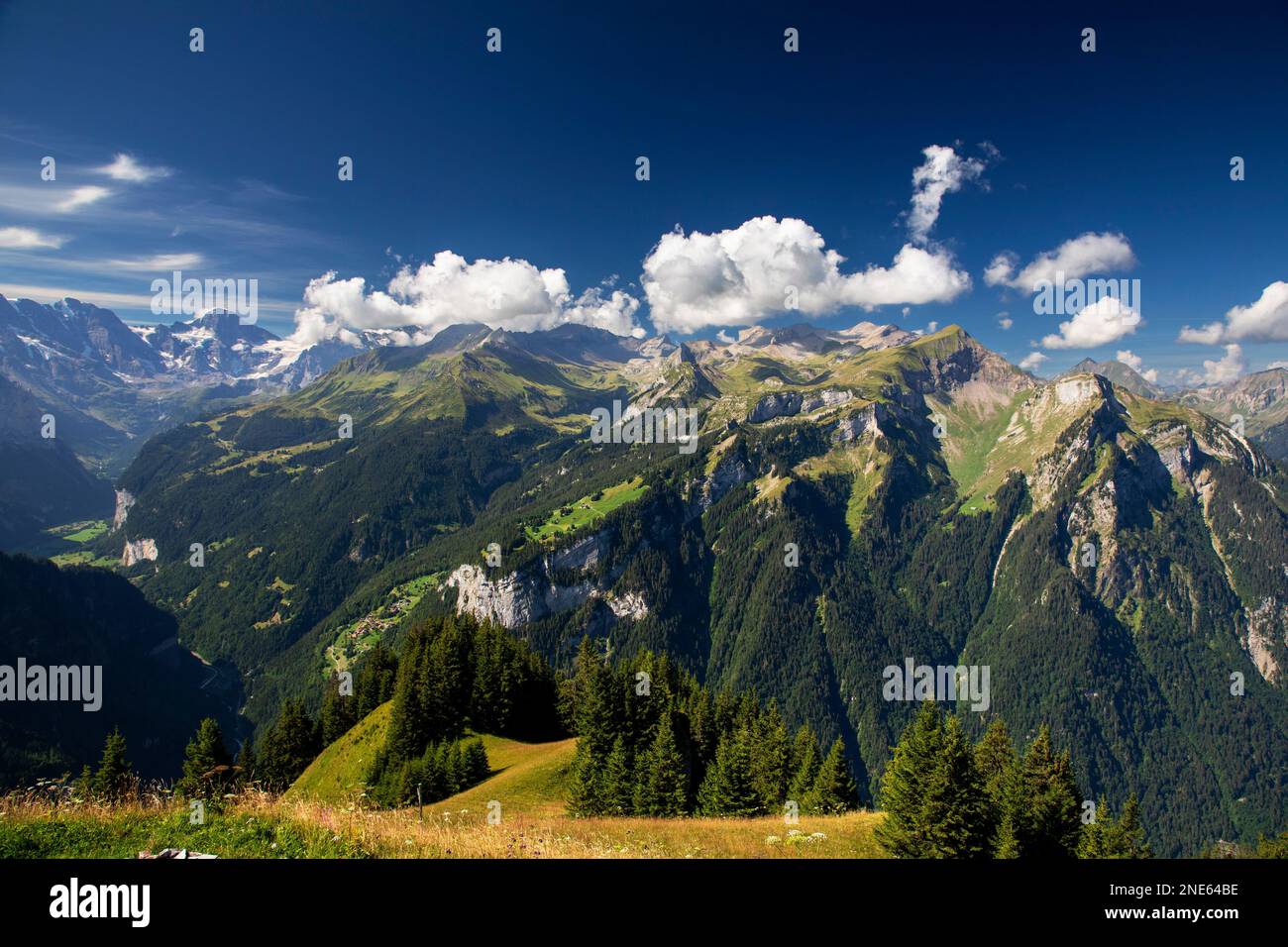 Vue de Schynige Platte à la montagne de Sulegg des Alpes bernoises, Suisse, Oberland bernois, Saxeten Banque D'Images