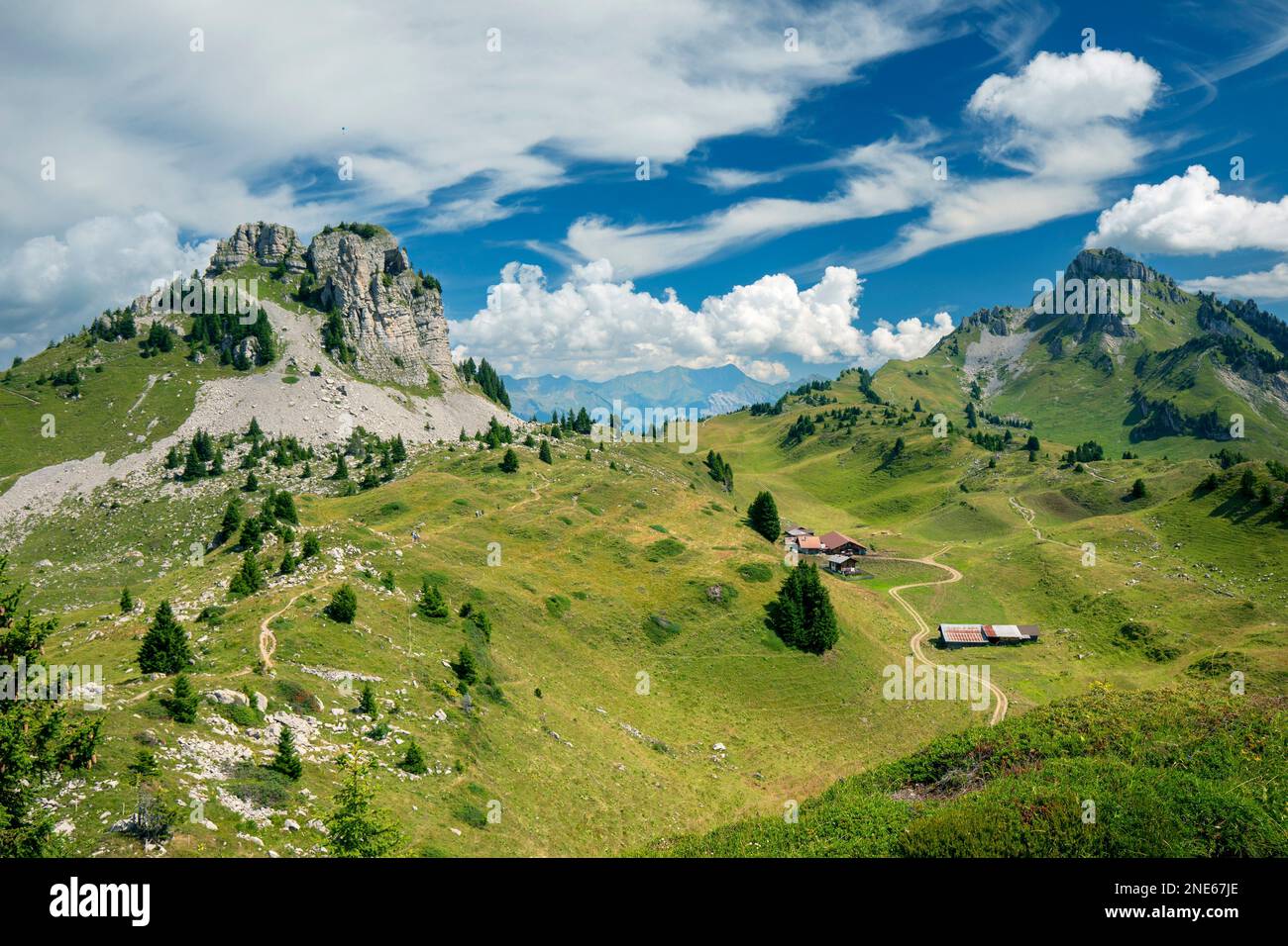 Vue de Schynige Platte à Alp Inner-Iselten avec Oberberghorn et Loucherhorn, Suisse, Oberland bernois Banque D'Images