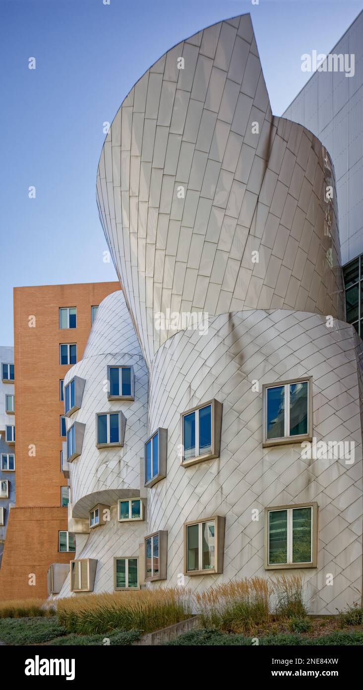 Le « palais geek » DE MIT – Ray and Maria Stata Center for Computer, information and Intelligence Sciences – est conçu pour défier la pensée ordinaire. Banque D'Images