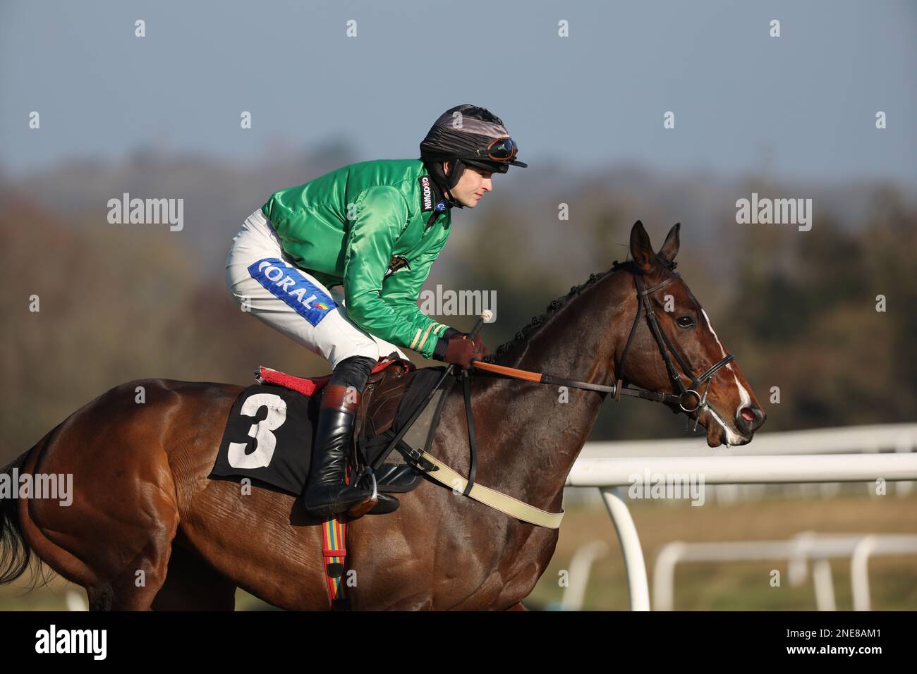 Plumpton, Royaume-Uni 13th février 2023 : Brendan Powell ridding Diamond Egg aller à la poste pour l'épreuve de restauration de Maiden de saveurs fortes à l'hippodrome de Plumpton. Credit: James Boardman / Alamy Live News Banque D'Images