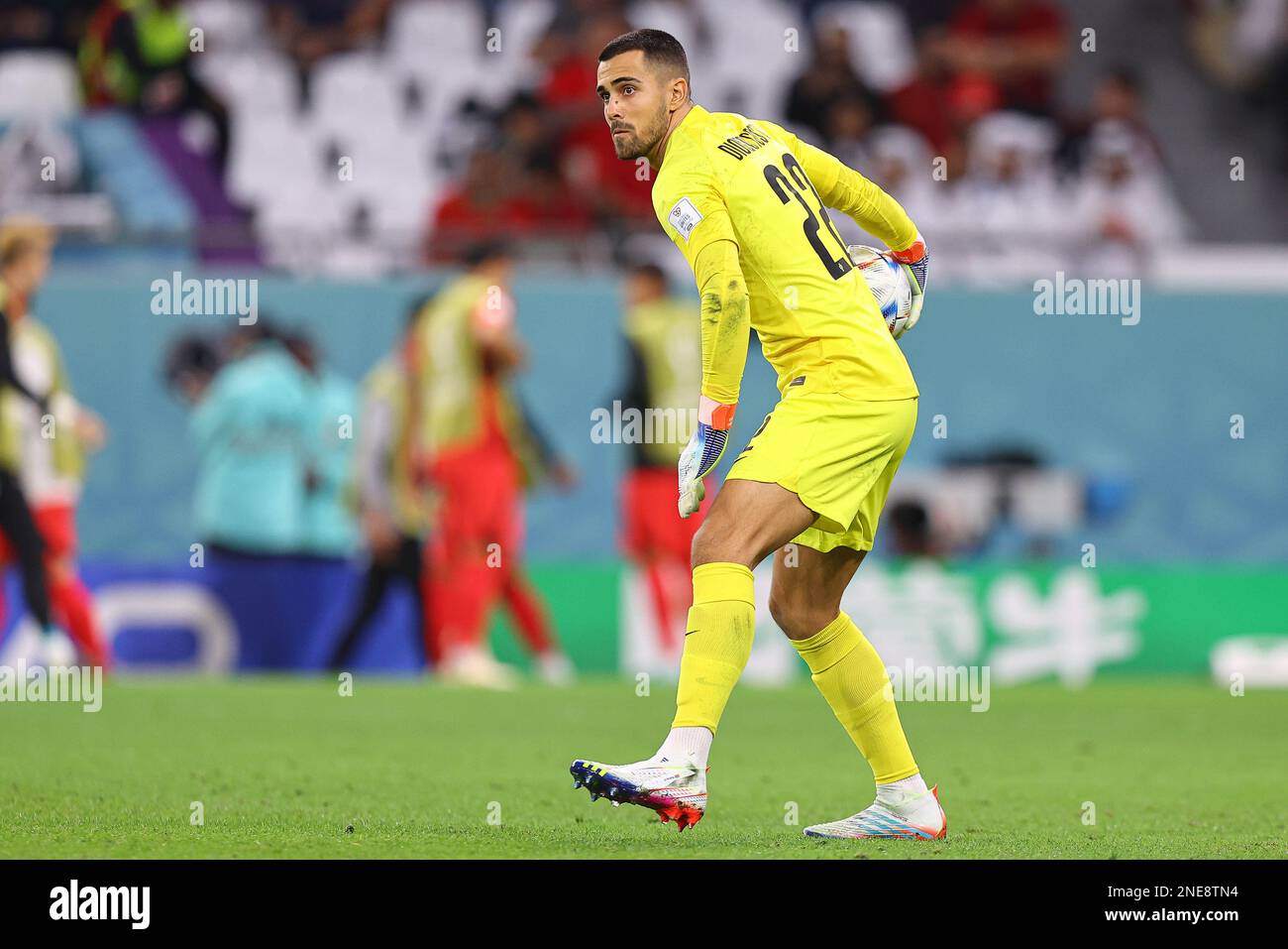 AL RAYYAN, QATAR - DÉCEMBRE 02 : Diogo Costa lors de la coupe du monde de la FIFA, Qatar 2022 Group H match entre la République de Corée et le Portugal au stade de la ville d'éducation sur 02 décembre 2022 à Al Rayyan, Qatar. (Photo par MB Media) Banque D'Images