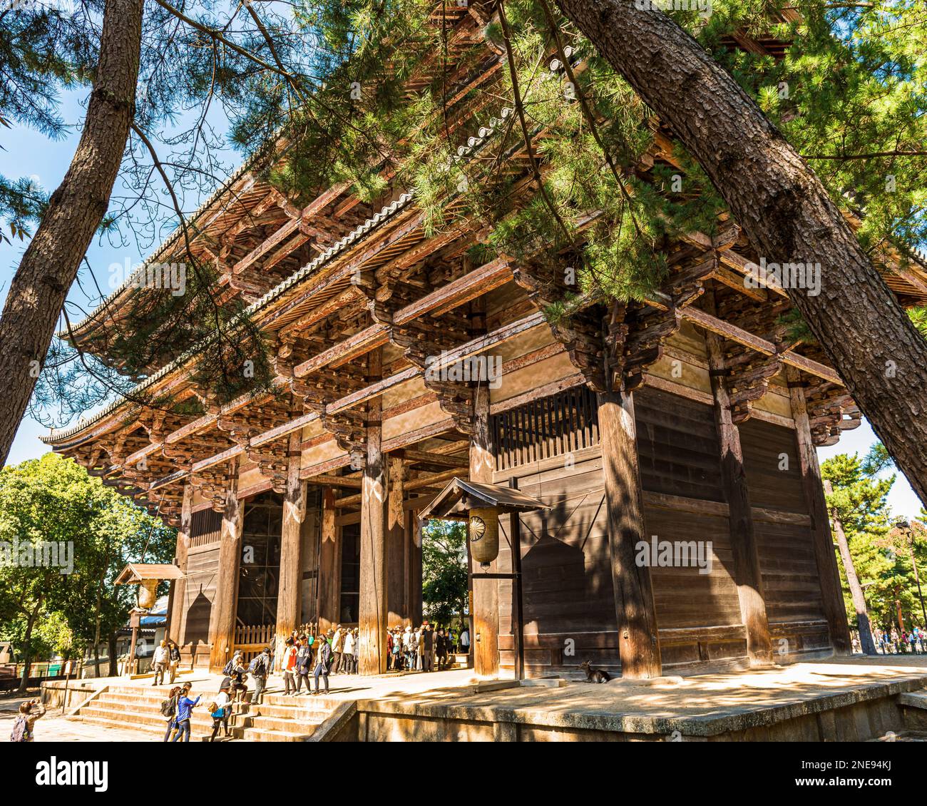 La porte Nandaimon. Entrée du temple en bois d'époque de Kamakura au complexe de temples Todai-ji à Nara, au Japon Banque D'Images