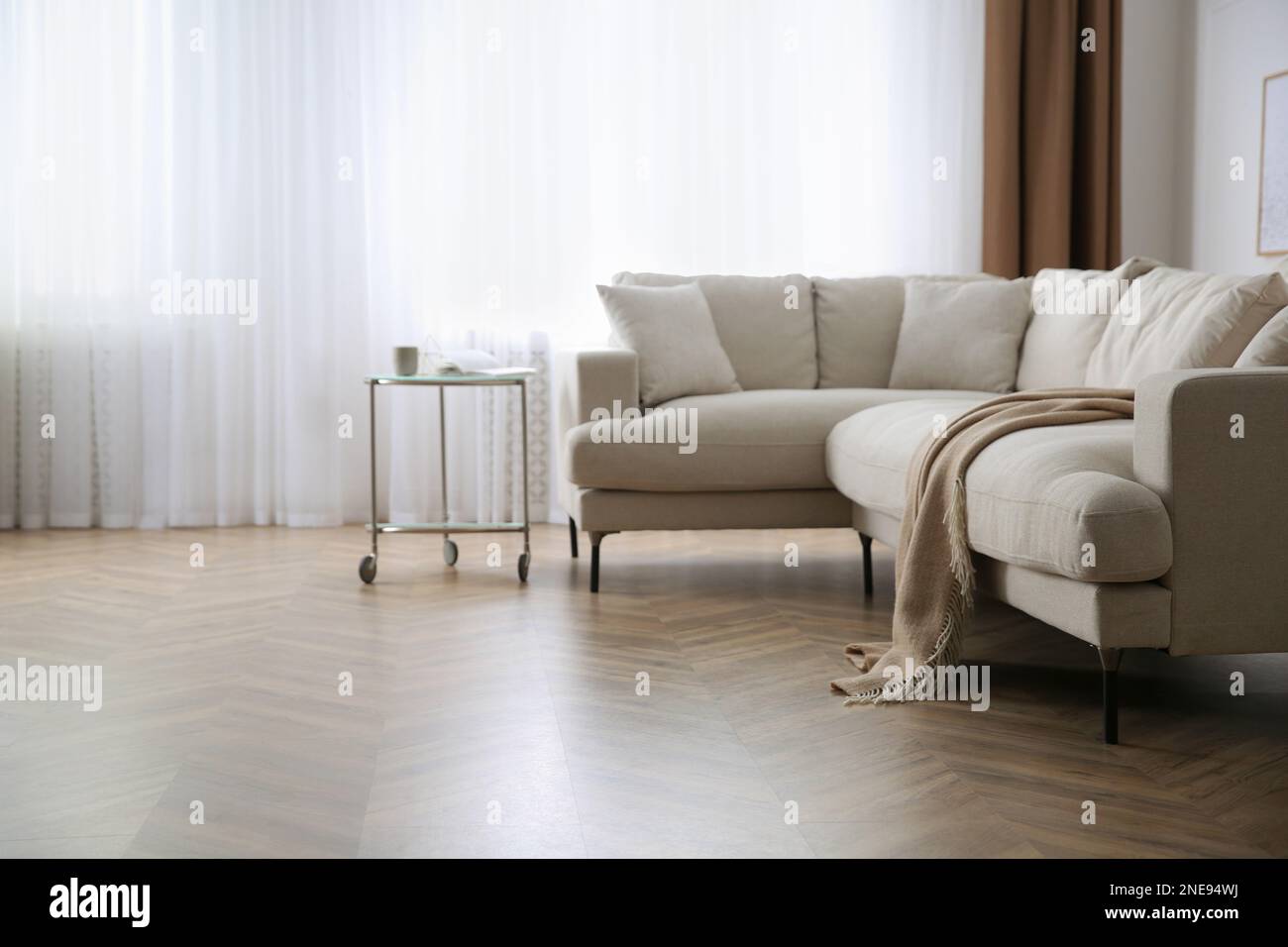 Salon moderne avec parquet et mobilier élégant Banque D'Images