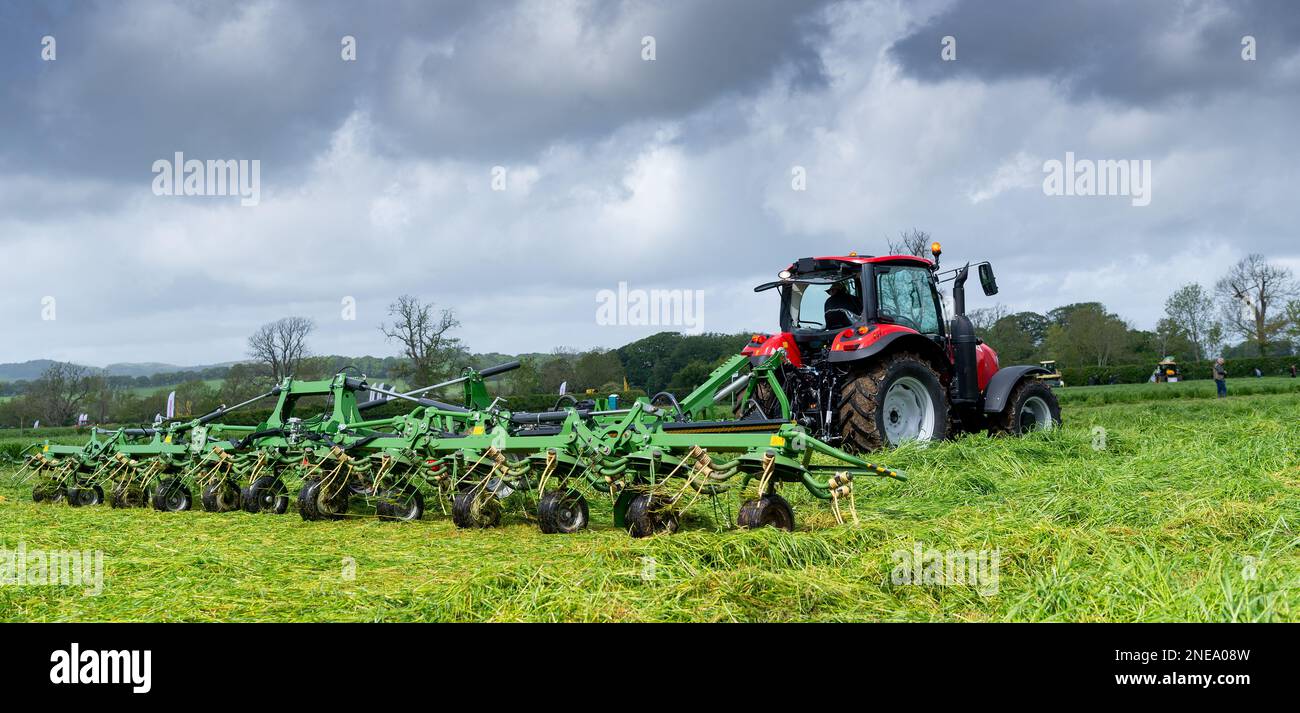 L'herbe fraîchement tondue est prête pour l'ensilage dans une ferme laitière, Dumfries, Écosse, Royaume-Uni. Banque D'Images