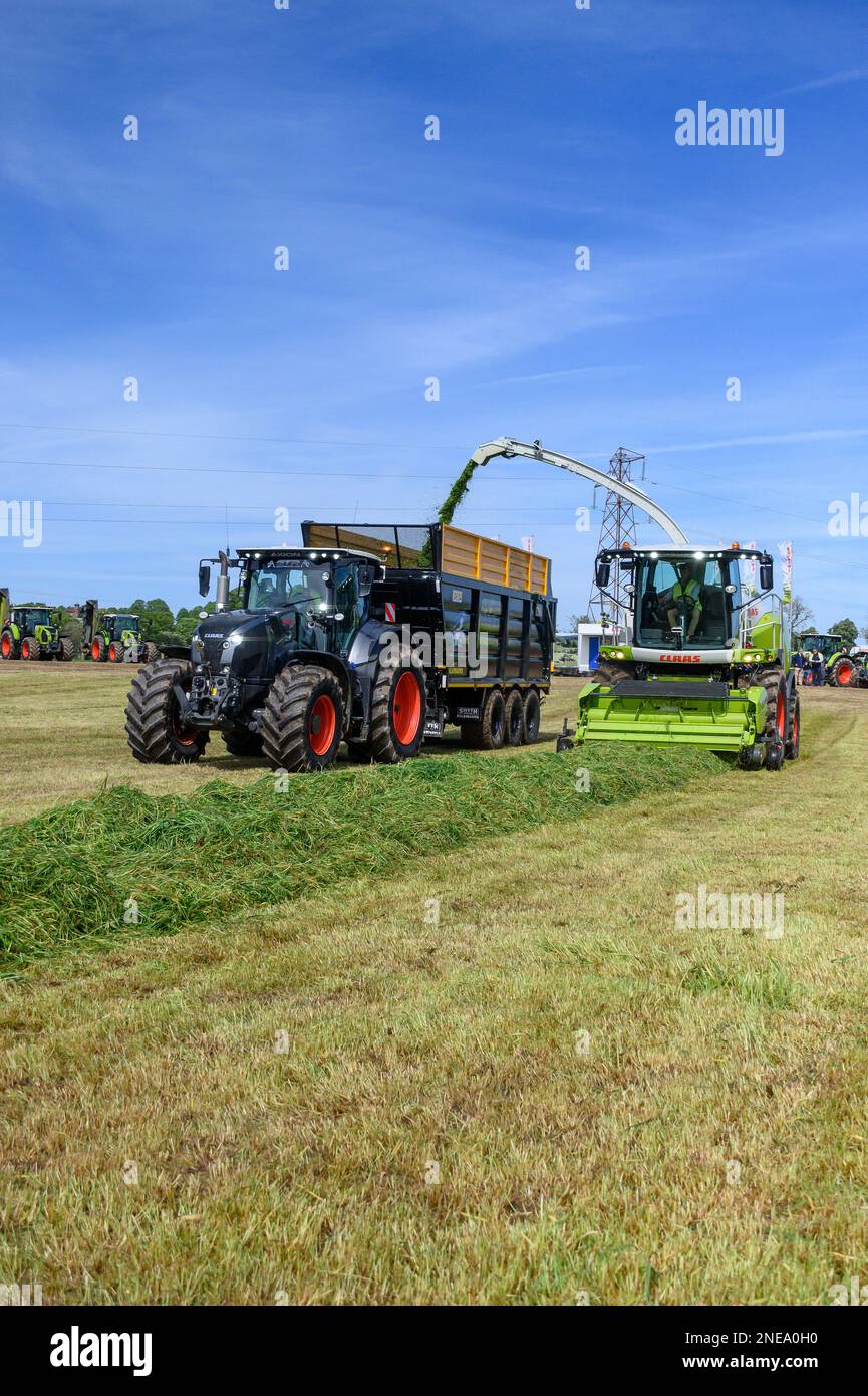 Moissonneur de fourrage automoteur Claas remplissant une remorque d'ensilage tractée par un tracteur Claas. Dumfries, Écosse, Royaume-Uni. Banque D'Images