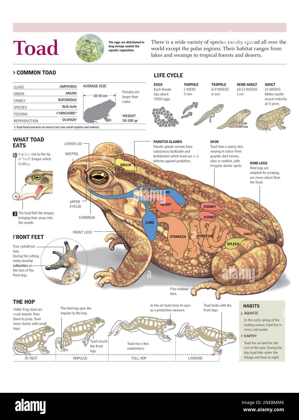 Infographies de l