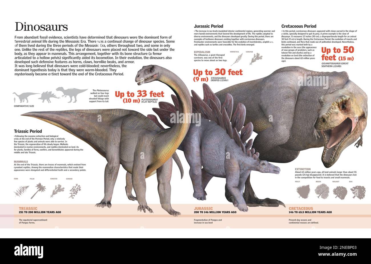 Infographie des espèces de dinosaures qui ont dominé la Terre pendant les périodes trias, jurassiques et crétacées. [QuarkXPress (.qxp); 6259x4015]. Banque D'Images