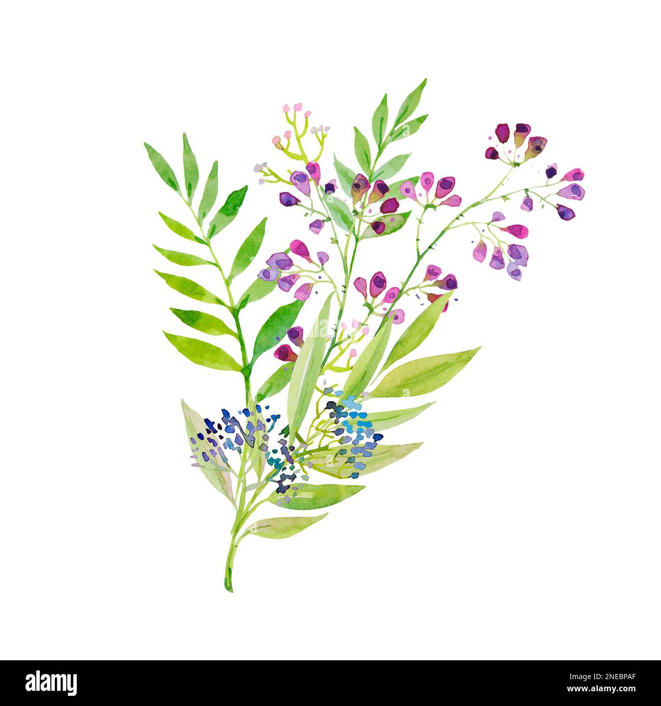 bouquet délicat et lumineux de fleurs roses et bleues violettes et de feuilles vertes, illustration aquarelle. Banque D'Images