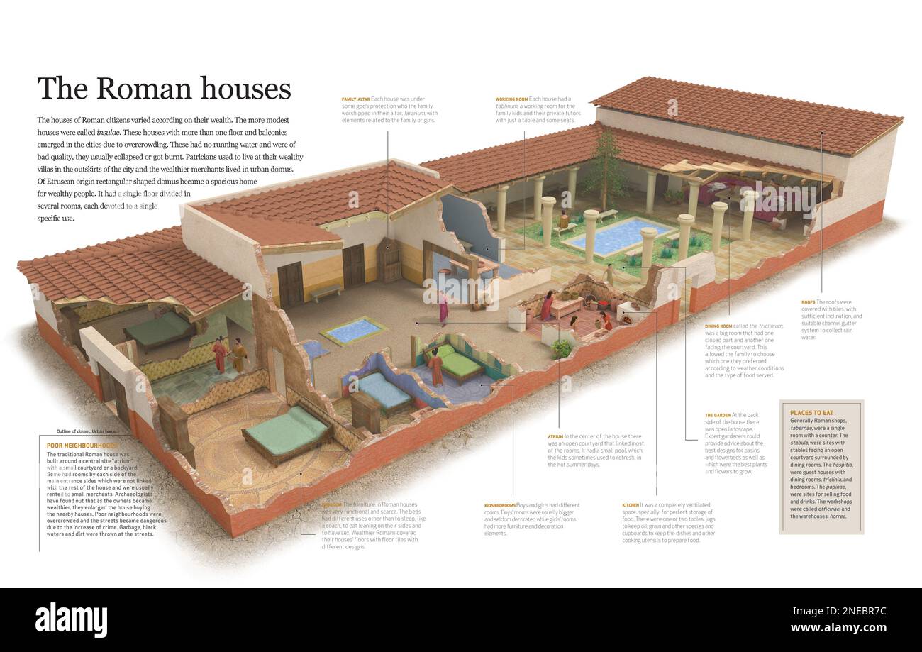 Infographies expliquant différents types de logements romains selon la classe sociale et se concentre sur domus qui était le logement des riches marchands. [QuarkXPress (.qxp); 6188x3921]. Banque D'Images