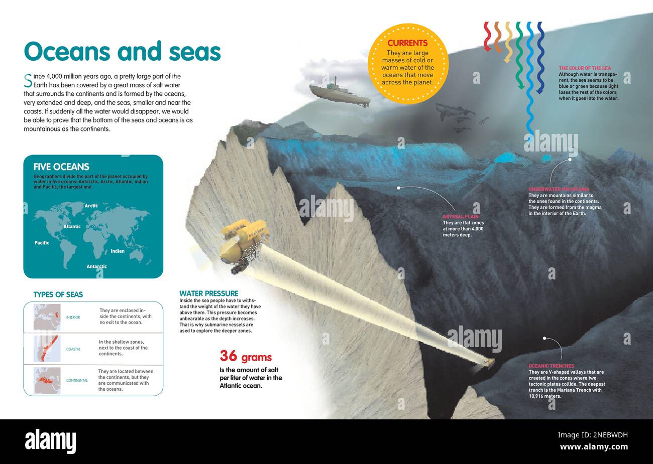 Infographie qui explique la différence entre les mers et les océans, les types de mers, la
