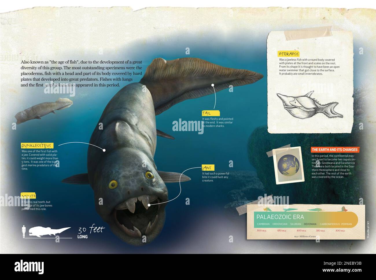 Infographies sur la période dévonienne de l'ère paléozoïque, où une grande diversité de poissons est apparue. [QuarkXPress (.qxp); 4842x3248]. Banque D'Images