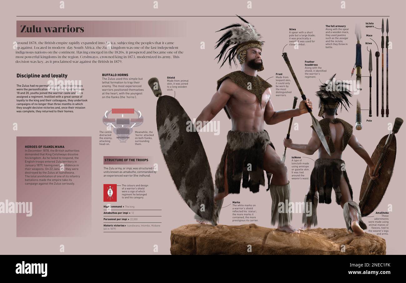 Infographie sur les guerriers zoulou. [Adobe InDesign (.indd); 5078x3188]. Banque D'Images