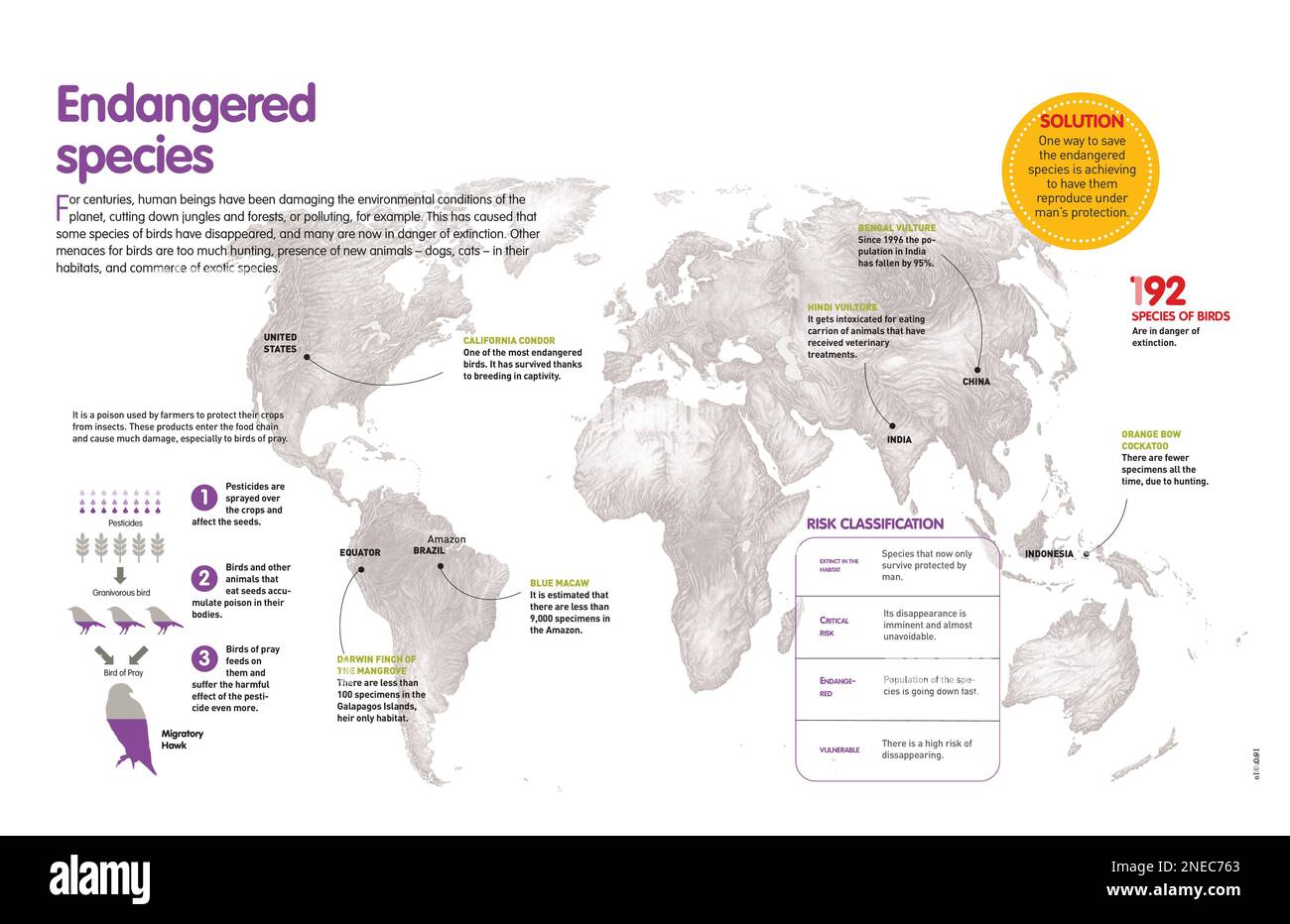 Infographie sur les oiseaux en danger d'extinction et les conséquences de l'utilisation de pesticides. [QuarkXPress (.qxp); Adobe InDesign (.indd); QuarkXPress (.qxd); 4960x3188]. Banque D'Images