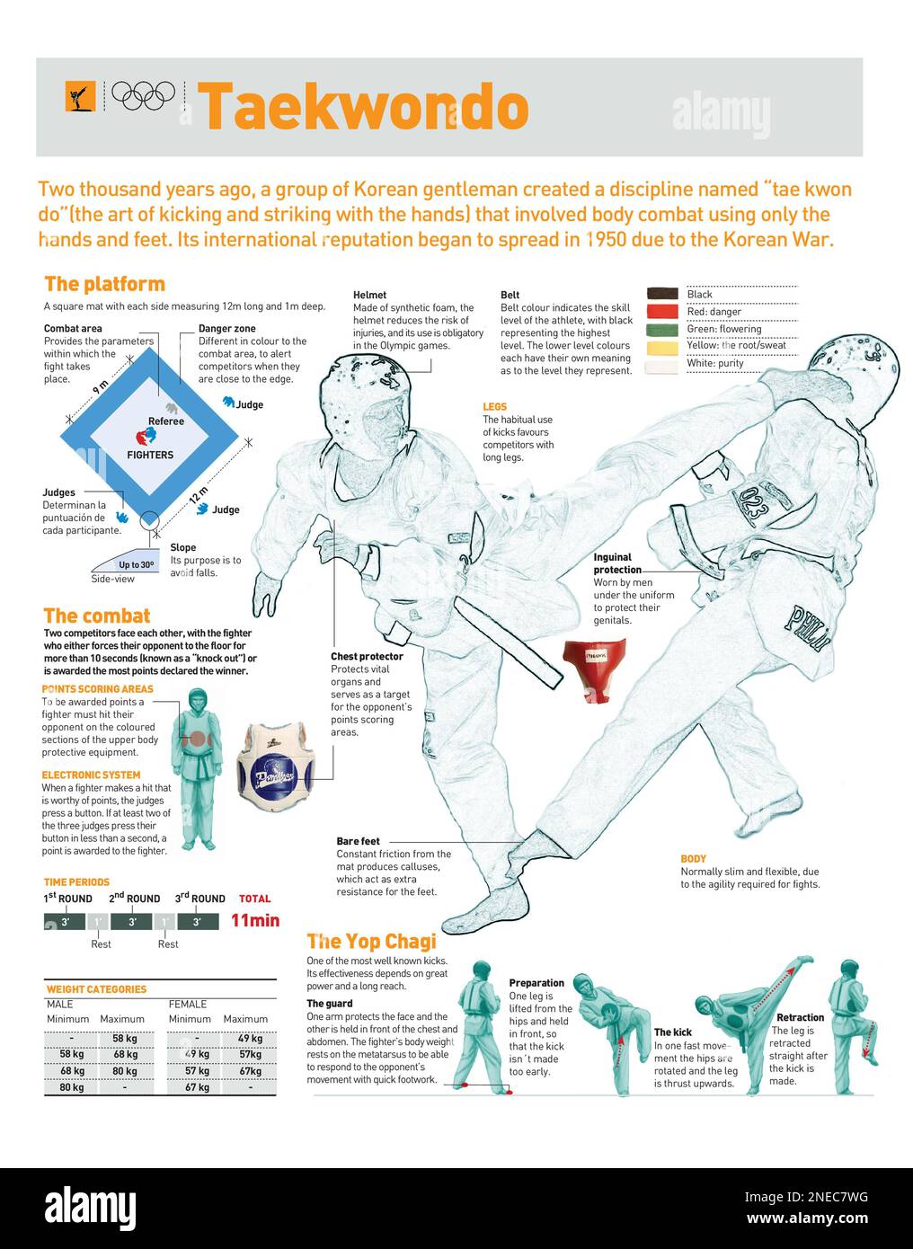 Infographies sur l'origine du taekwondo, ses règles de base, l'équipement des combattants, les catégories et les mouvements principaux. [Adobe Illustrator (.ai)]. Banque D'Images