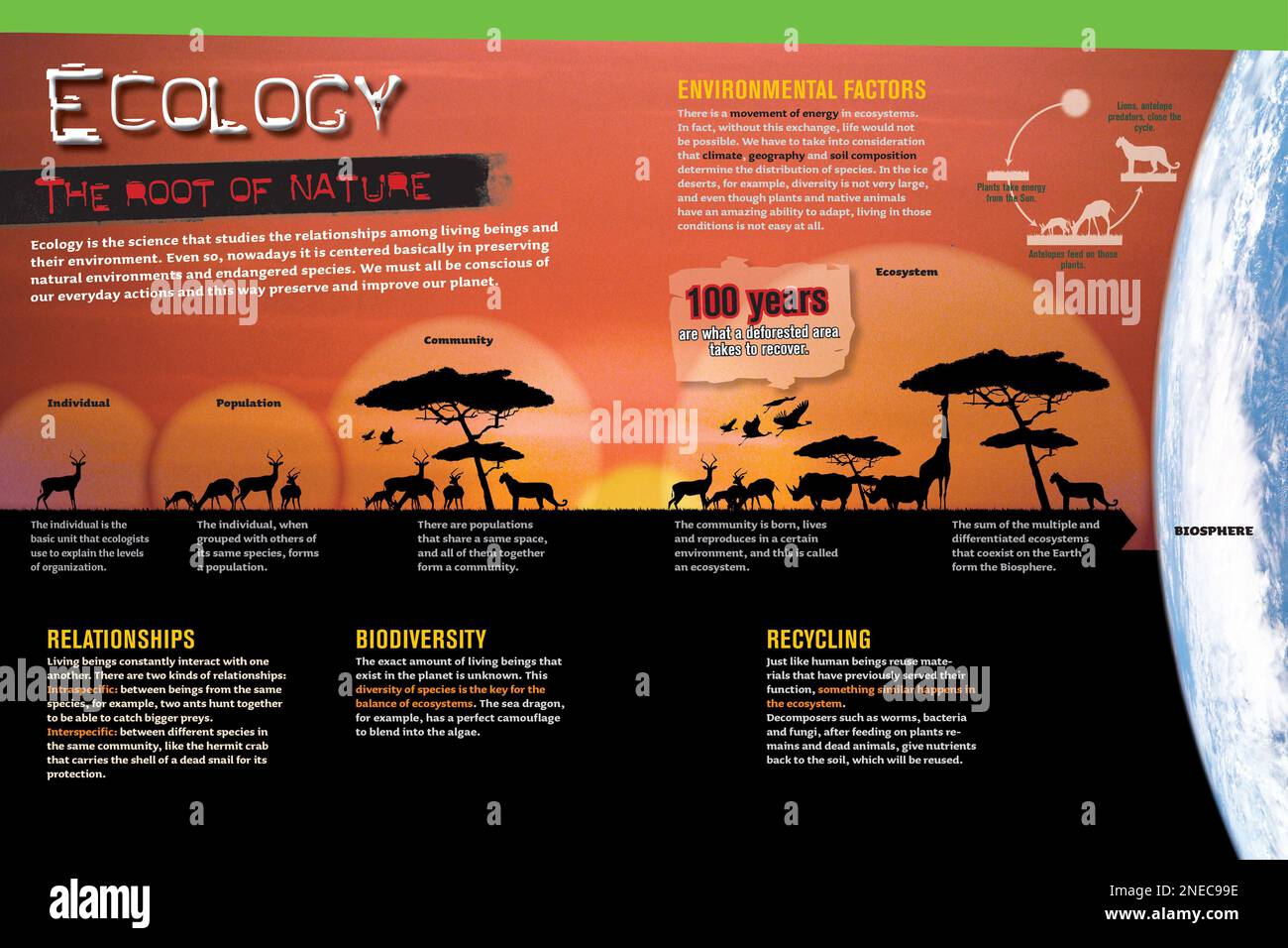 Infographie sur l'écologie, la science qui étudie les relations entre les êtres vivants et leur environnement. [Adobe InDesign (.indd); 4960x3307]. Banque D'Images