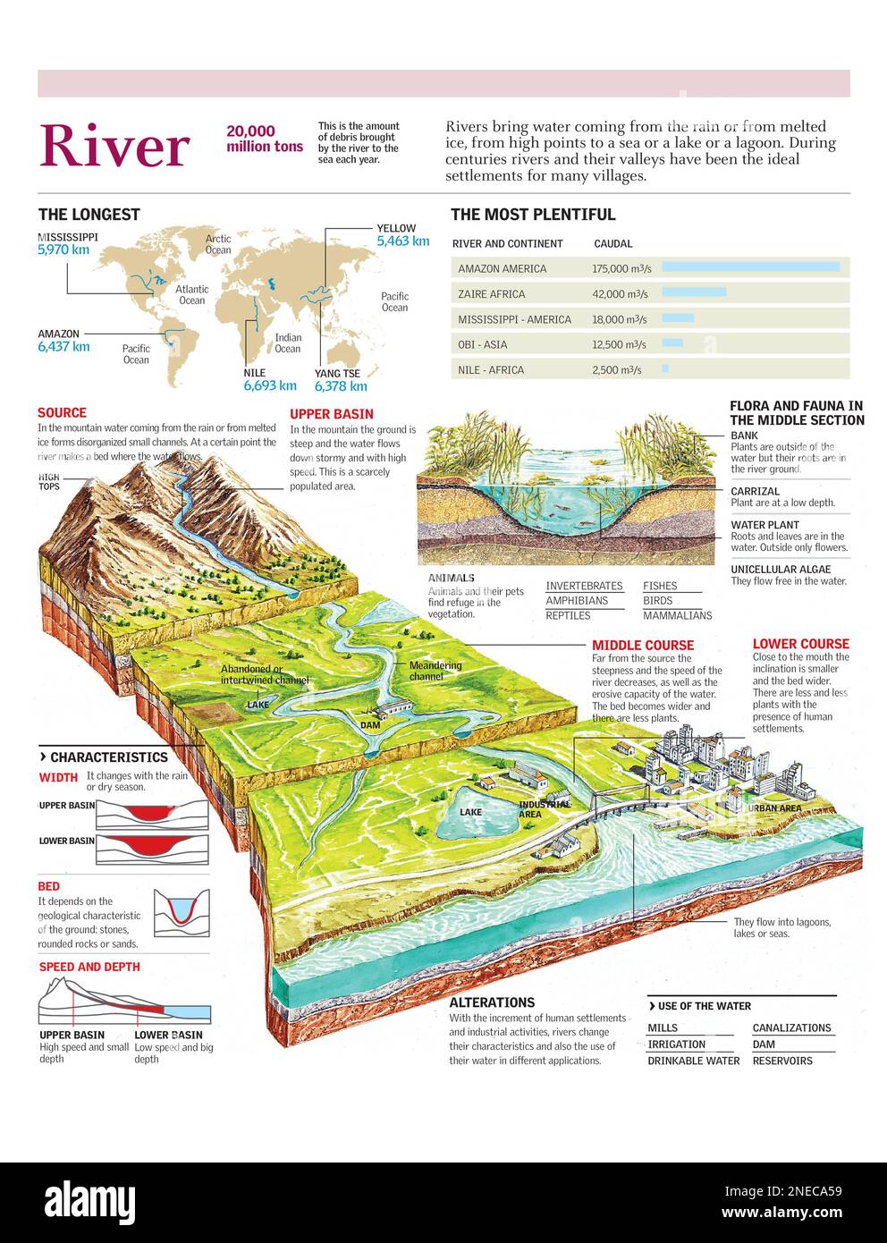 Infographies des différentes phases du cours d'une rivière, de la flore ...
