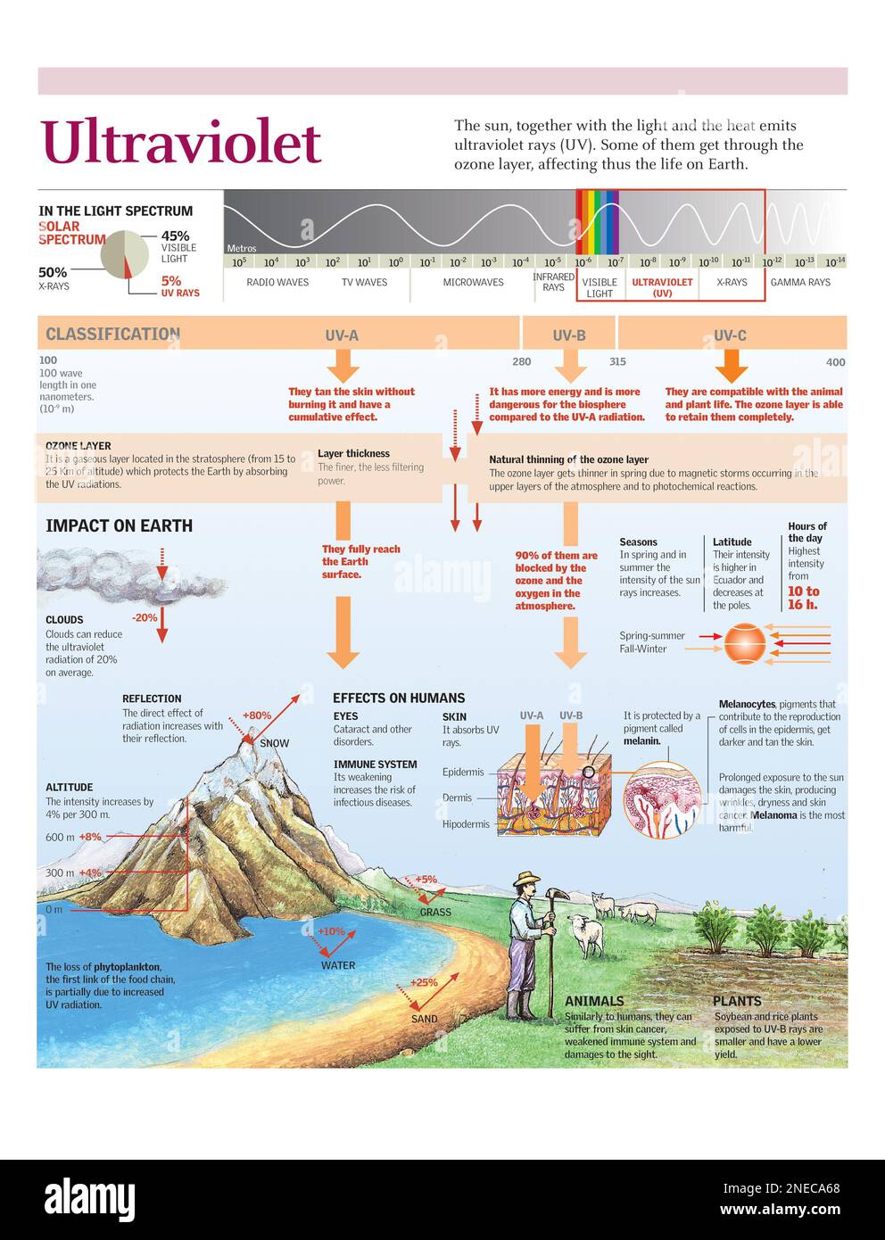 Des infographies sur l'incidence des rayons ultraviolets à la surface de la Terre et les effets sur les êtres vivants. [Adobe Illustrator (.ai); 2480x3248]. Banque D'Images