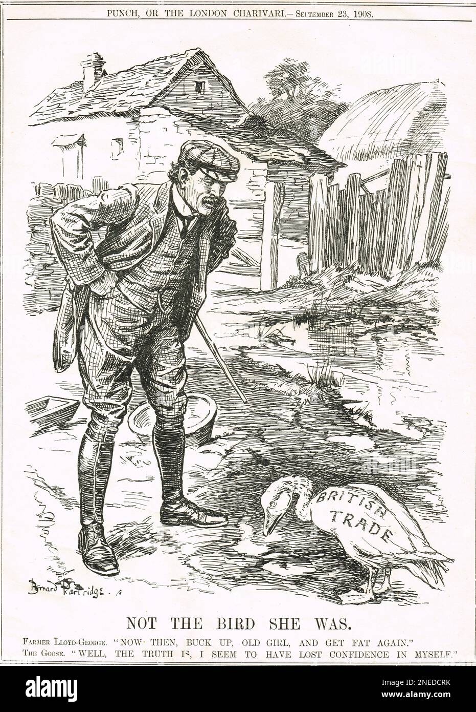 Pas l'oiseau qu'elle était. 1908 dessin animé de Punch par Bernard Partridge représentant Lloyd George comme un fermier racontant l'OIE du commerce britannique qui a perdu confiance pour obtenir de nouveau la graisse Banque D'Images