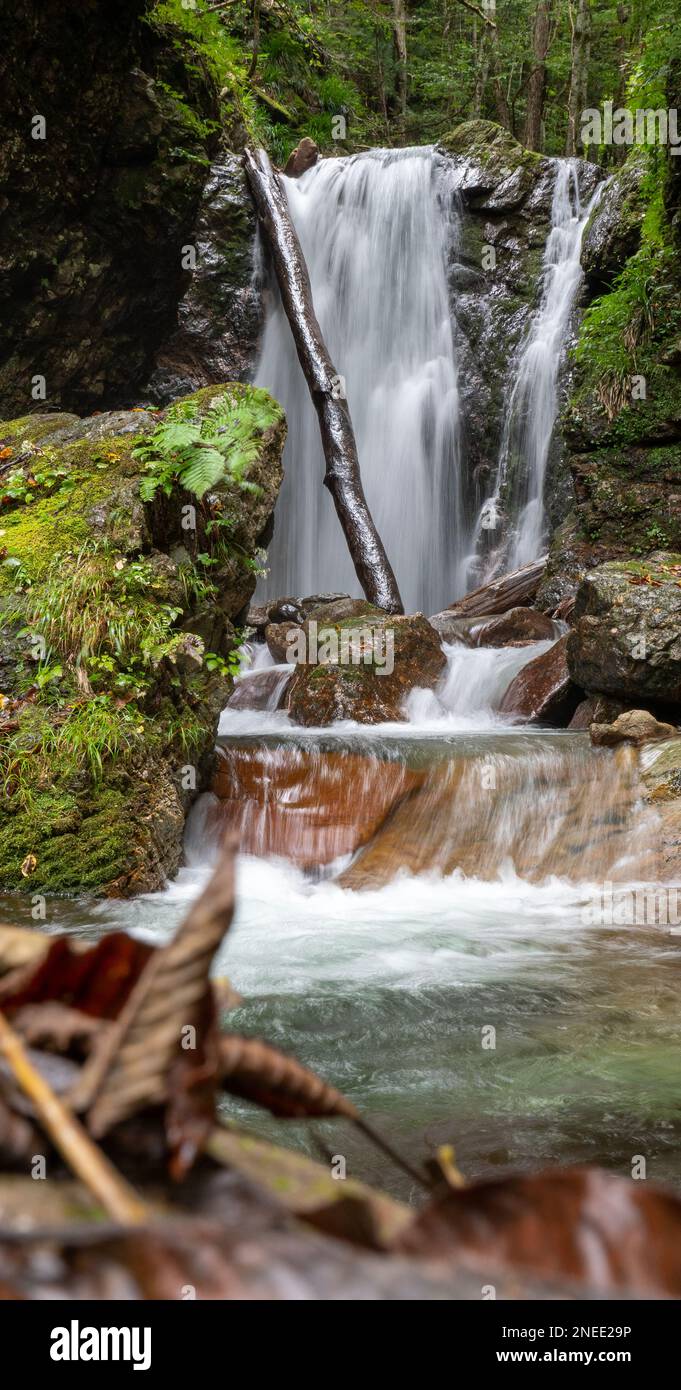 Une chute d'eau au parc national d'Oze à Gunma, au Japon. Banque D'Images