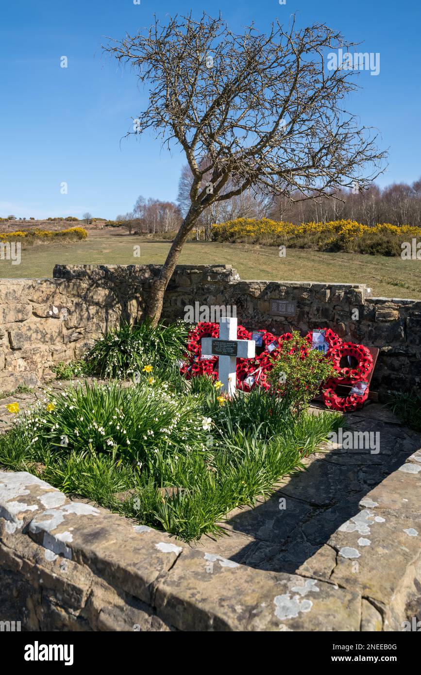 ASHDOWN FOREST, EAST SUSSEX/UK - 24 MARS : vue de la tombe de l'Airman dans la forêt d'Ashdown East Sussex le 24 mars 2020 Banque D'Images