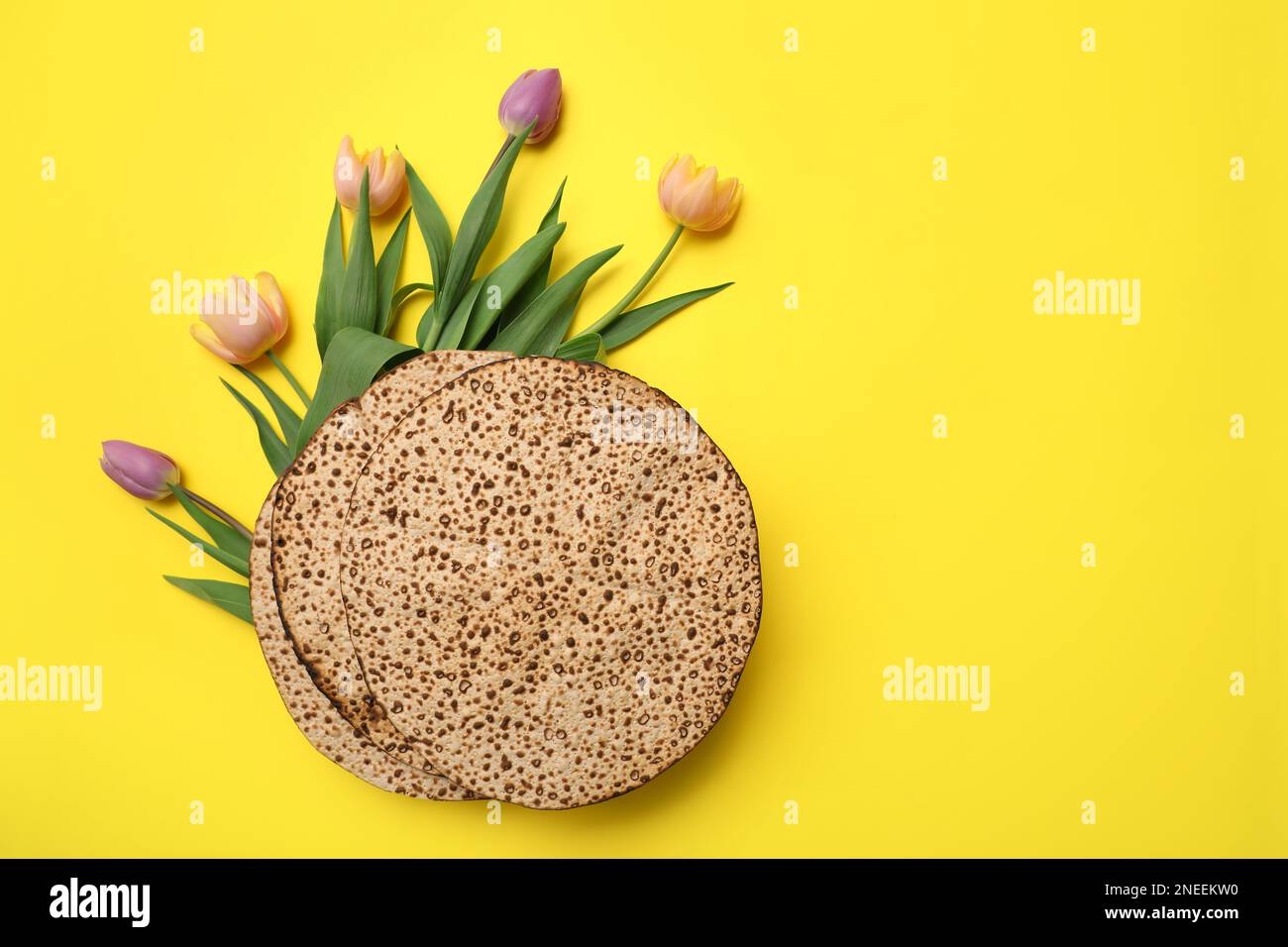 Savoureux matzos et fleurs fraîches sur fond jaune, plat avec espace pour le texte. Fête de la Pâque (Pesach) Banque D'Images
