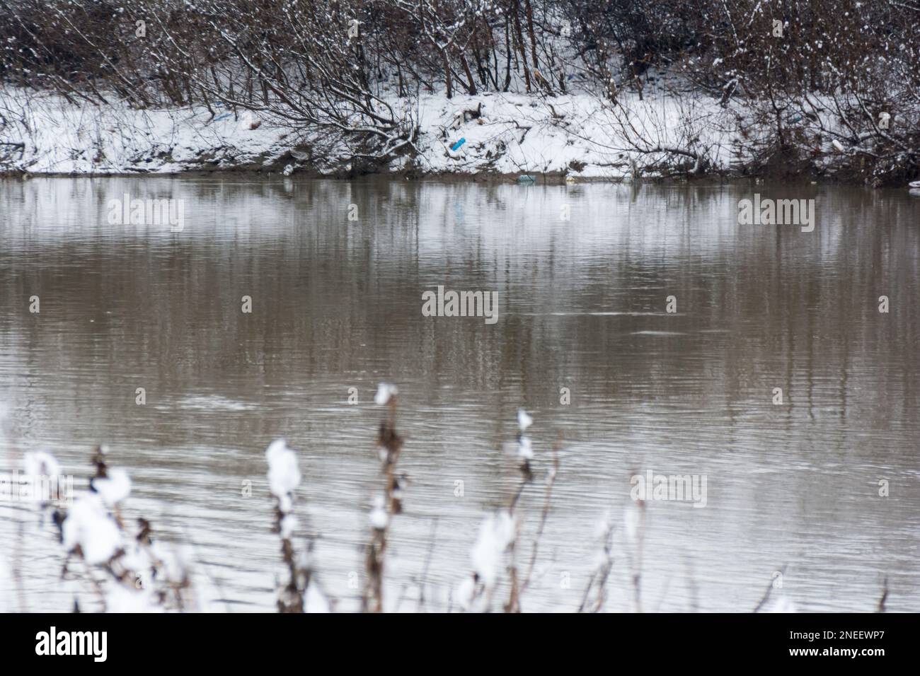 La rivière Somesul Mare en hiver Banque D'Images