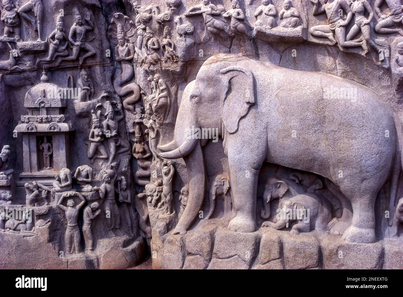 La pénitence d'Arjuna, la descente du Gange construite en 7th siècle par le roi de Pallava à Mahabalipuram ou Mamallapuram près de Chennai, Tamil Nadu, Inde, Asie. Banque D'Images