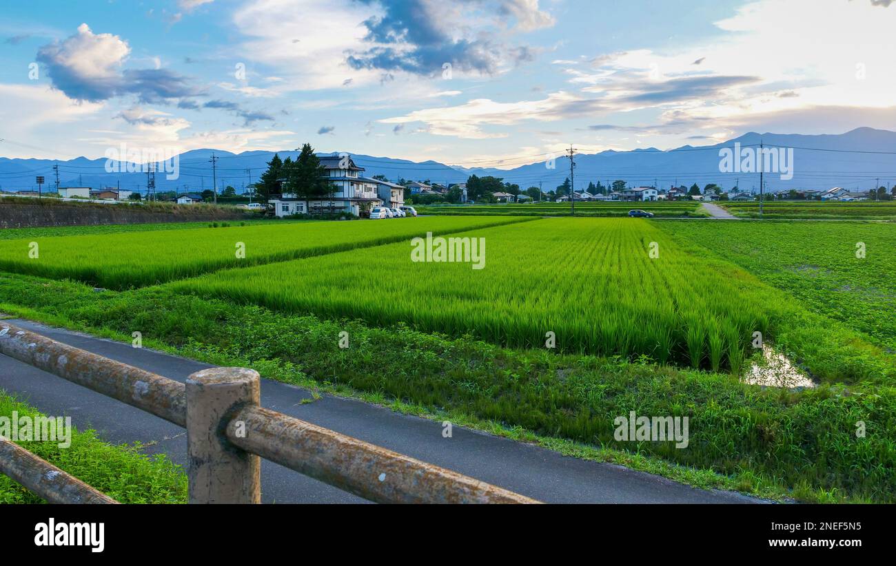 Vue sur les Alpes japonaises et les terres agricoles de Matsumoto, au Japon. Banque D'Images