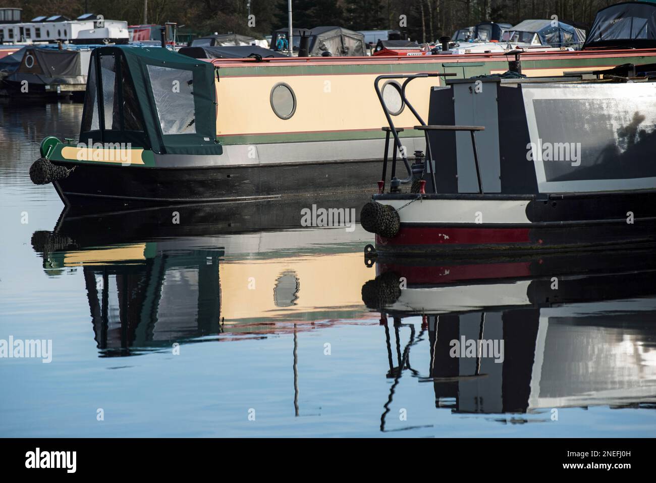 Des canots étroits amarrés à Barton Marina, près de Burton Upon Trent, East Staffordshire, Angleterre. Banque D'Images