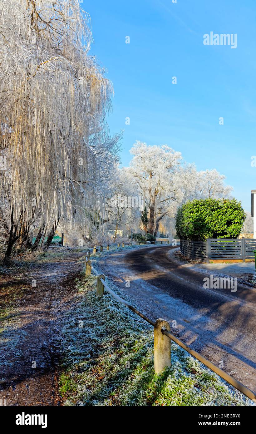 Le bord de la rivière à Shepperton lors d'une journée hivernale froide et ensoleillée avec des arbres et de la végétation couverts de givre, Surrey, Angleterre, Royaume-Uni Banque D'Images