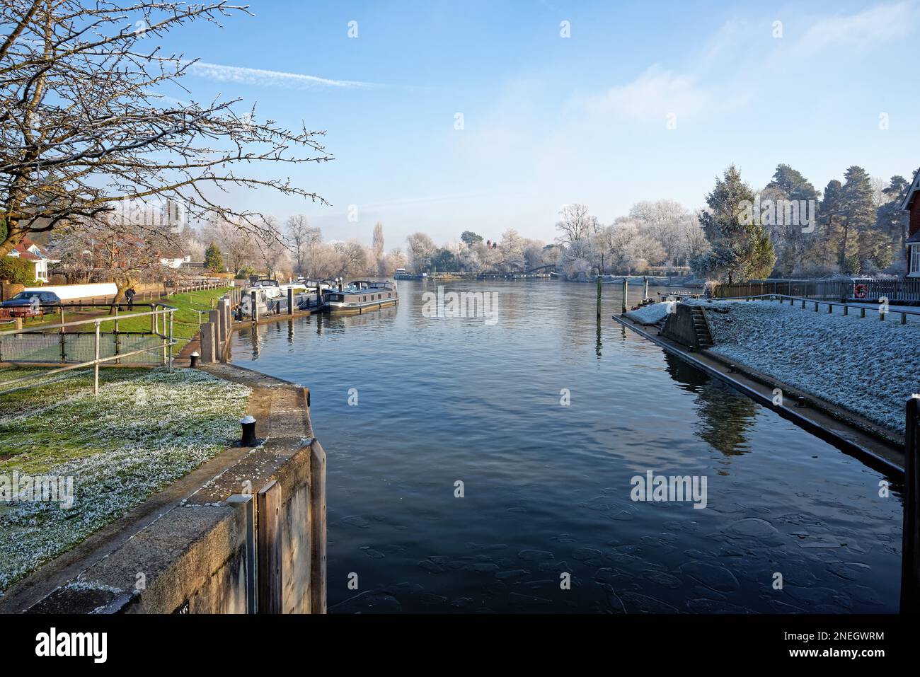 Le bord de la rivière à Shepperton lors d'une journée hivernale froide et ensoleillée avec des arbres et de la végétation couverts de givre, Surrey, Angleterre, Royaume-Uni Banque D'Images