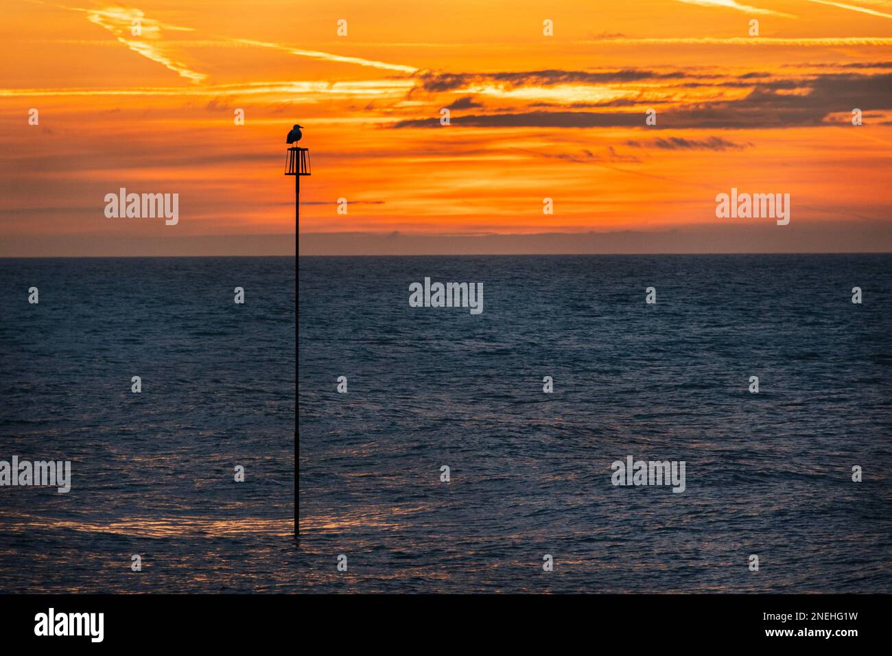 Ciel orange au-dessus de Worthing, West Sussex en hiver avec un oiseau en silhouette sur un poteau Banque D'Images