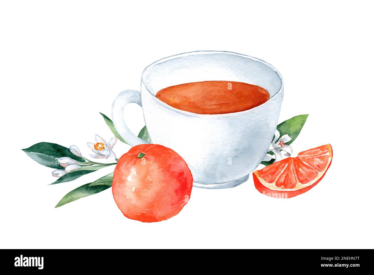 Théière avec tisane, fleurs et fruits à l'orange. Peinture aquarelle dessinée à la main isolée sur fond blanc Banque D'Images