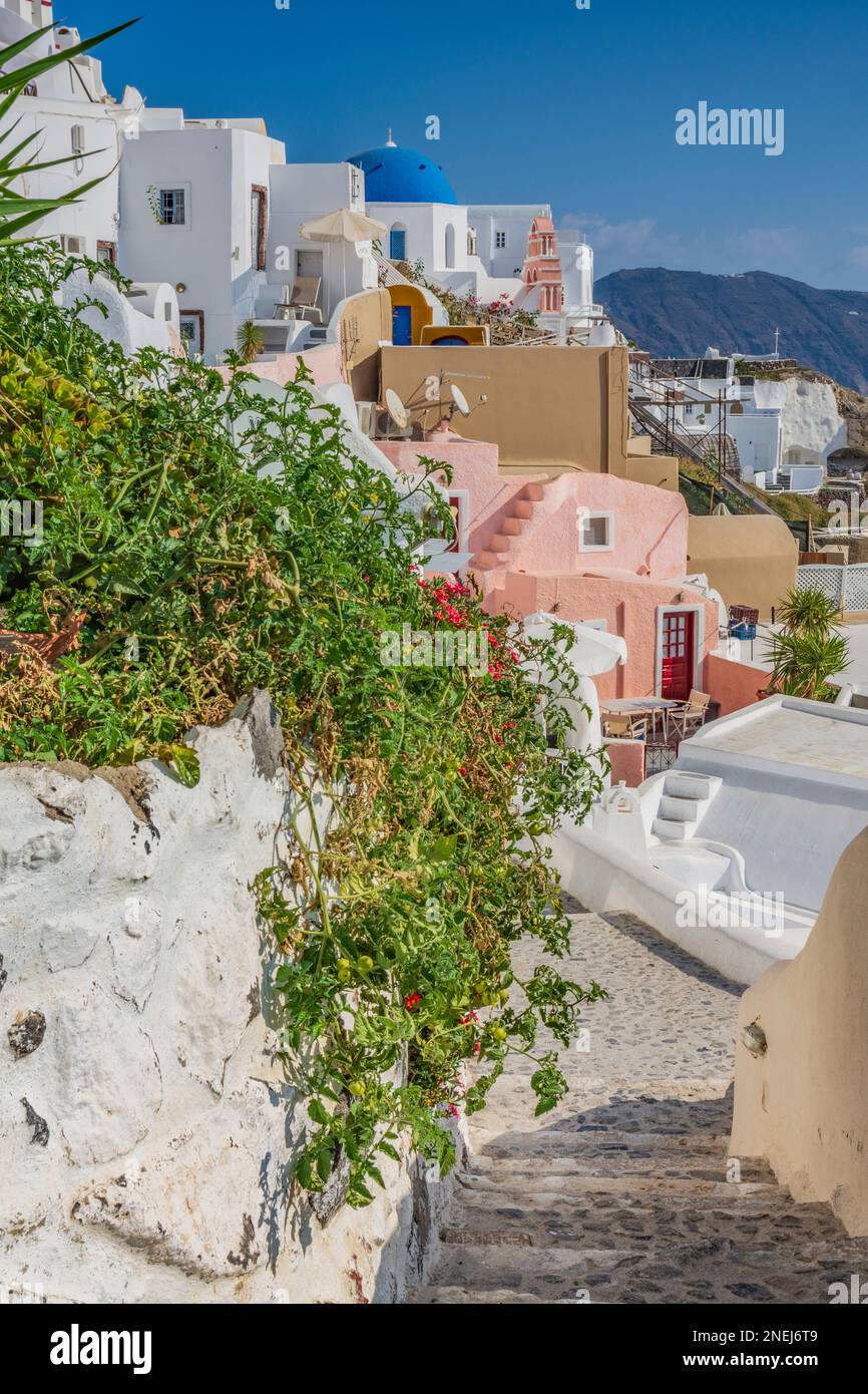 Caractéristique petite rue en pierre dans le village d'Oia, Santorin Banque D'Images