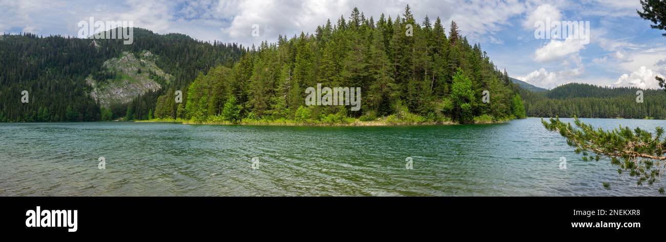 Durmitor Black Lake et le panorama de la forêt de pins sombres Banque D'Images