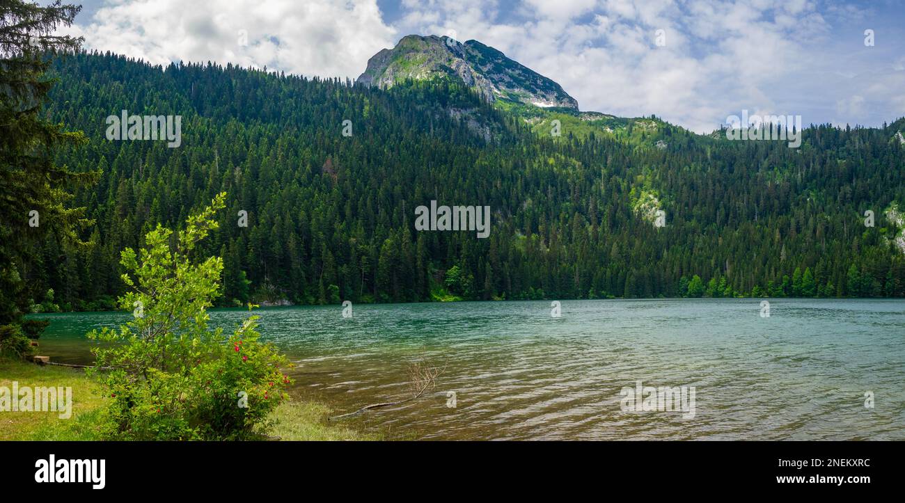 Bear Mountain au-dessus de Black Lake, parc national de Durmitor Banque D'Images