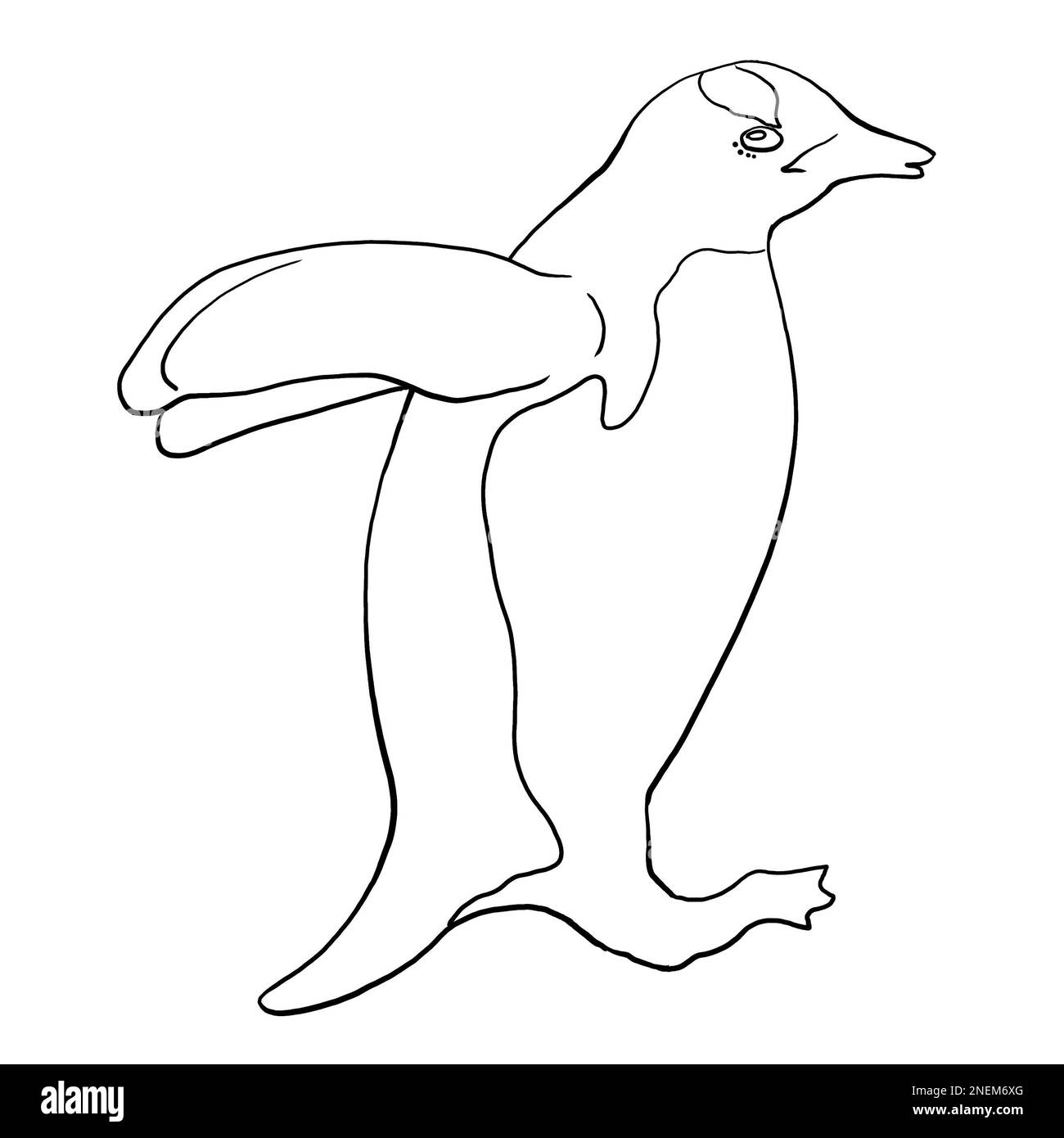 Dessin linéaire d'un pingouin. Illustration de haute qualité Banque D'Images