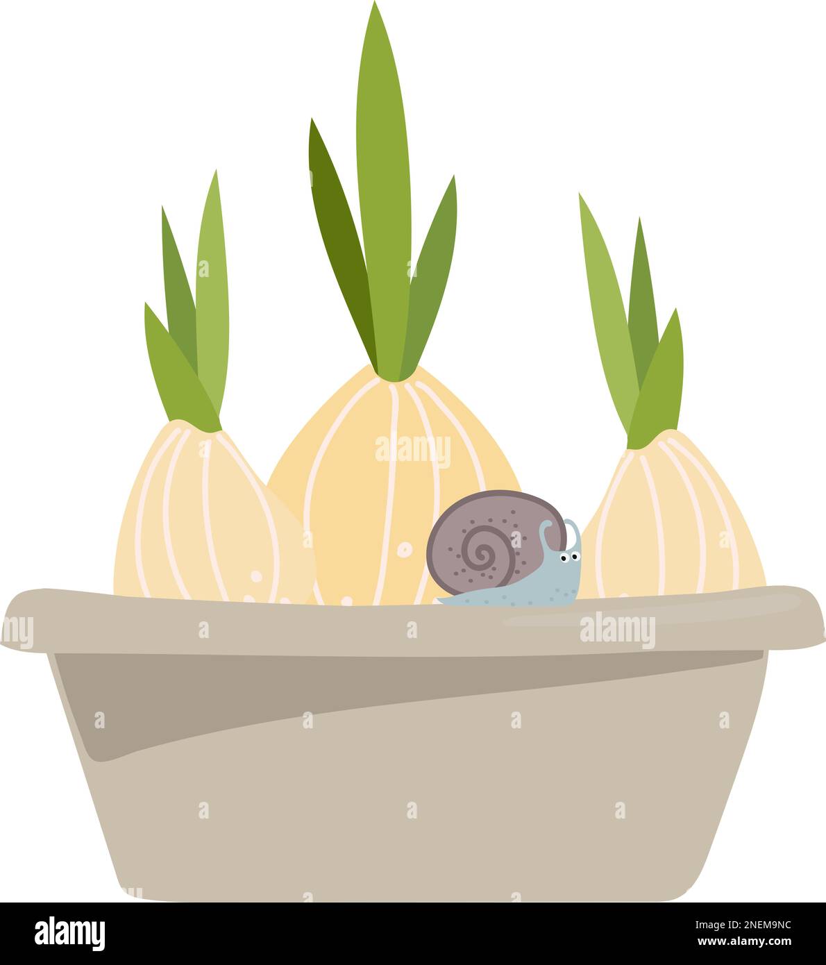 trois bulbes dans un pot de fleurs, avec un petit escargot. Illustration sur le thème du jardinage vecteur Illustration de Vecteur