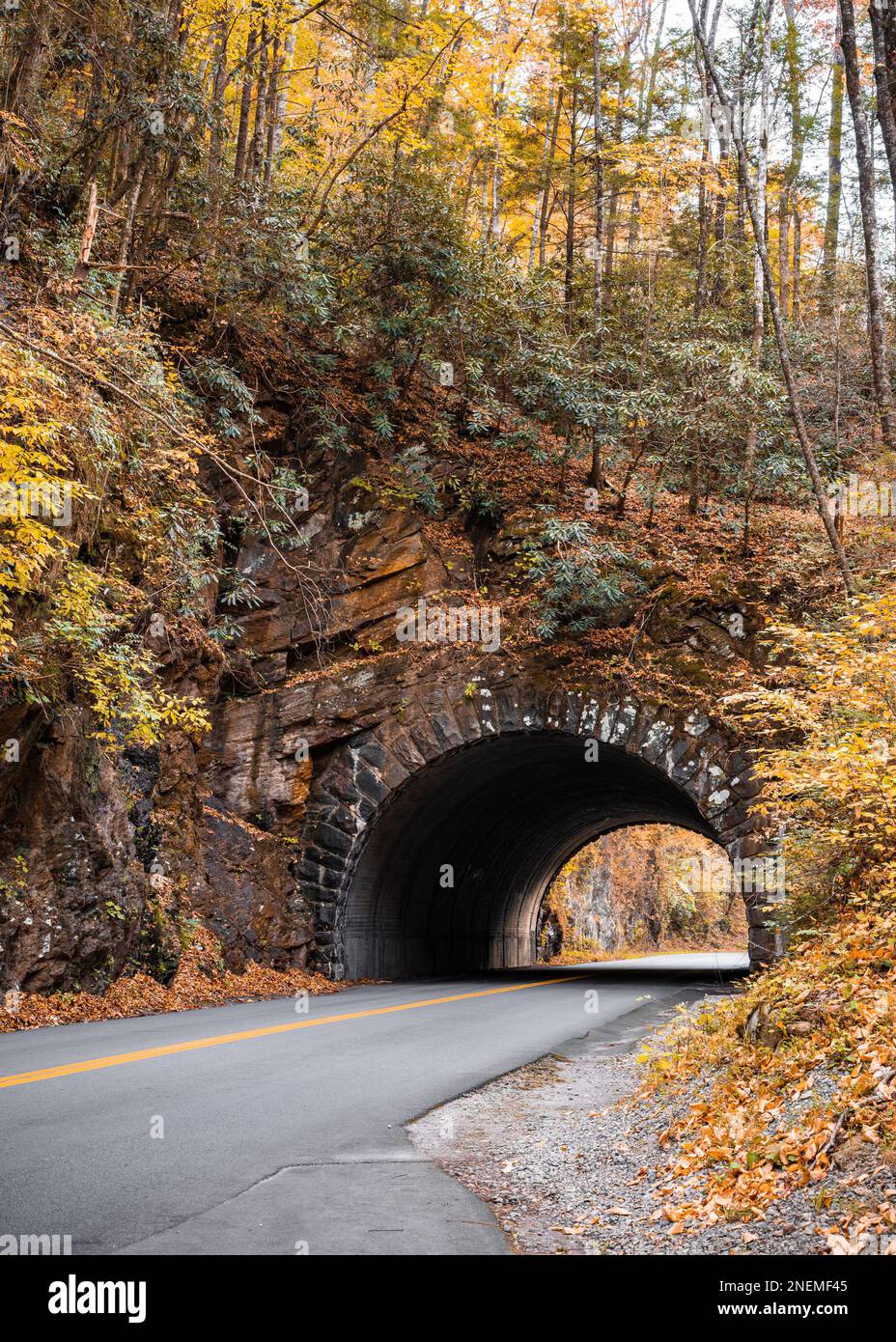 Tunnel pittoresque de la montagne de Bote à travers le parc national de Great Smoky Mountain dans le Tennessee Banque D'Images