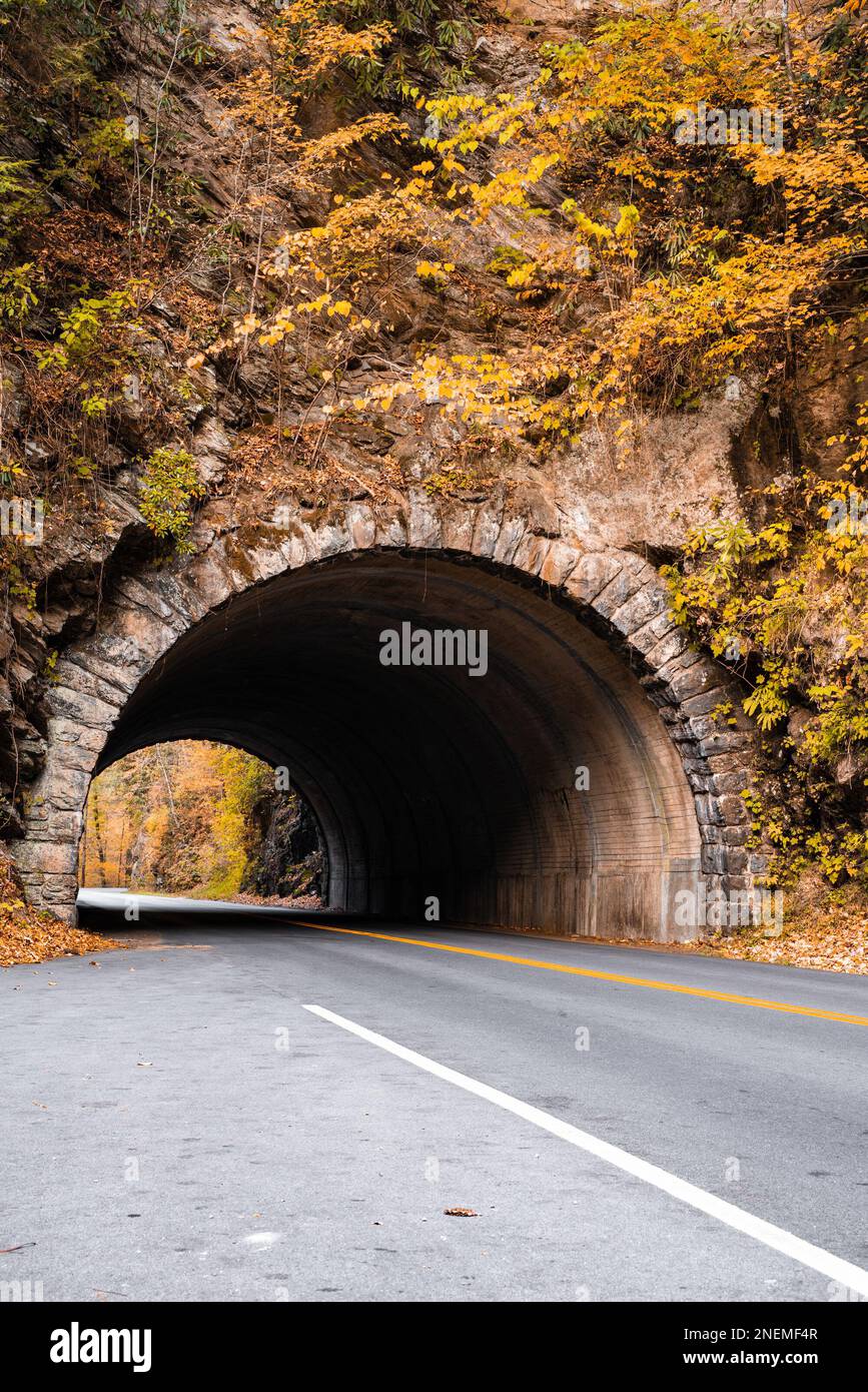 Tunnel pittoresque de la montagne de Bote à travers le parc national de Great Smoky Mountain dans le Tennessee Banque D'Images