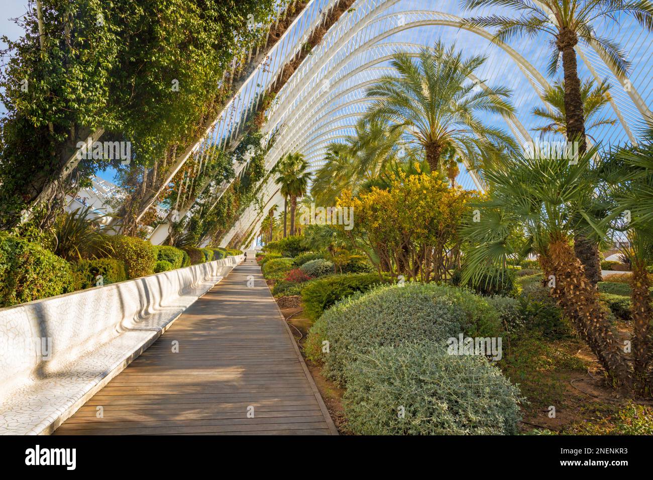 VALENCE, ESPAGNE - 15 FÉVRIER 2022 : le jardin de sculptures de l'Umbracle fait partie de la Cité des Arts conçue par Santiago Calatrava. Banque D'Images