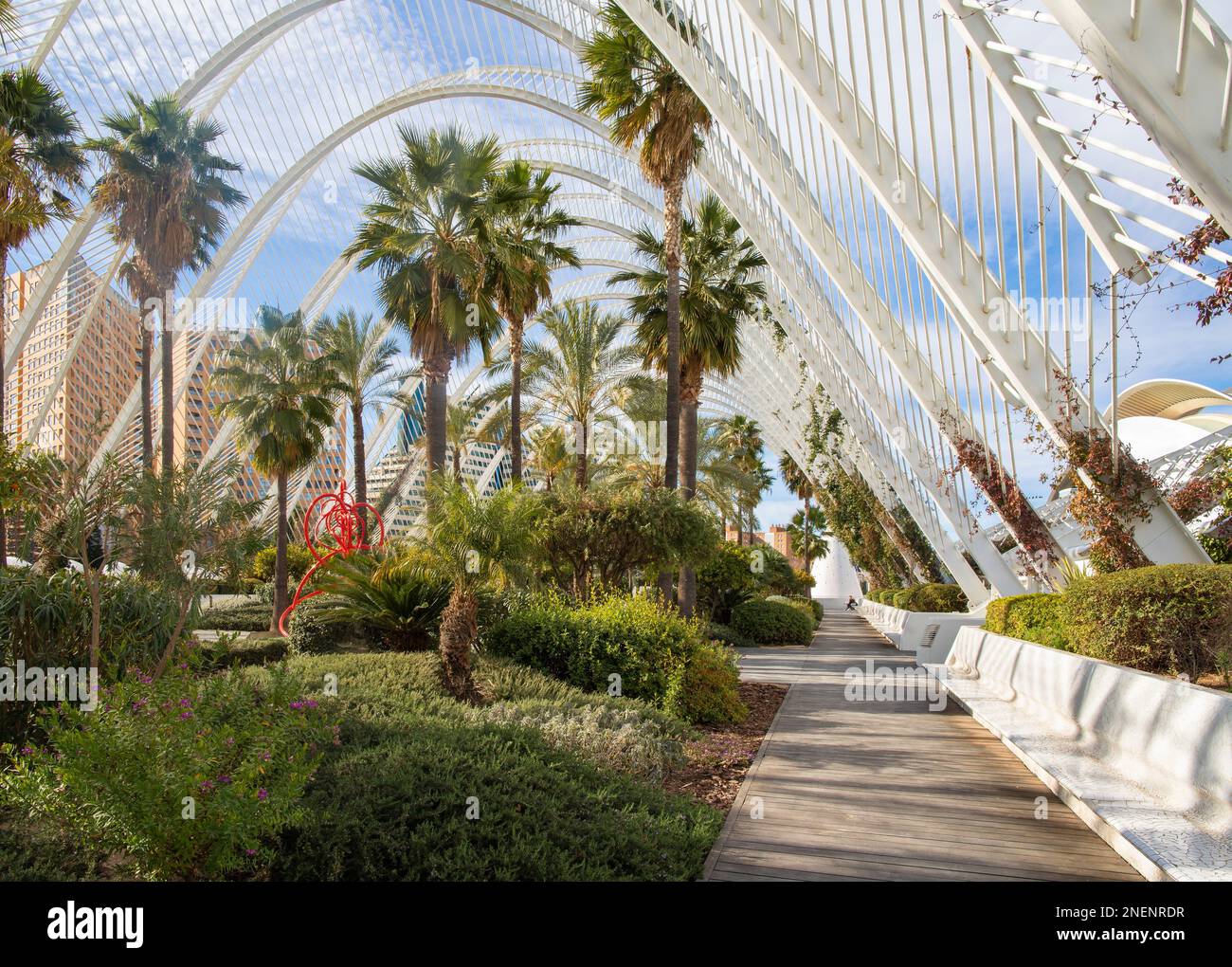 VALENCE, ESPAGNE - 15 FÉVRIER 2022 : le jardin de sculptures de l'Umbracle fait partie de la Cité des Arts conçue par Santiago Calatrava. Banque D'Images