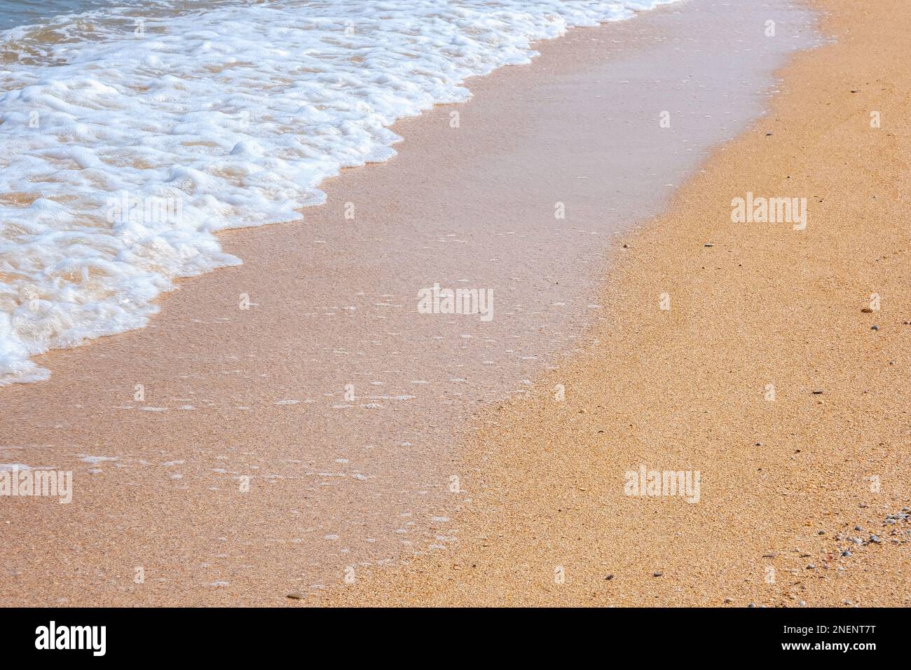 La côte de la mer d'Azov. Les vagues de la mer roulent sur le rivage sablonneux. Plage de sable de Seashell. Banque D'Images