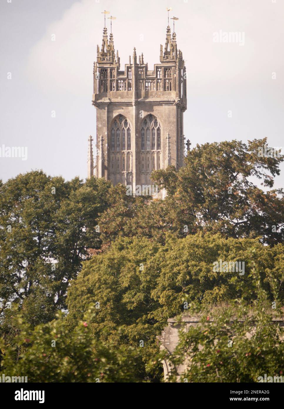 La tour de l'église St John's se dresse derrière des arbres dans le parc de l'abbaye de Glastonbury, Somerset, Royaume-Uni Banque D'Images