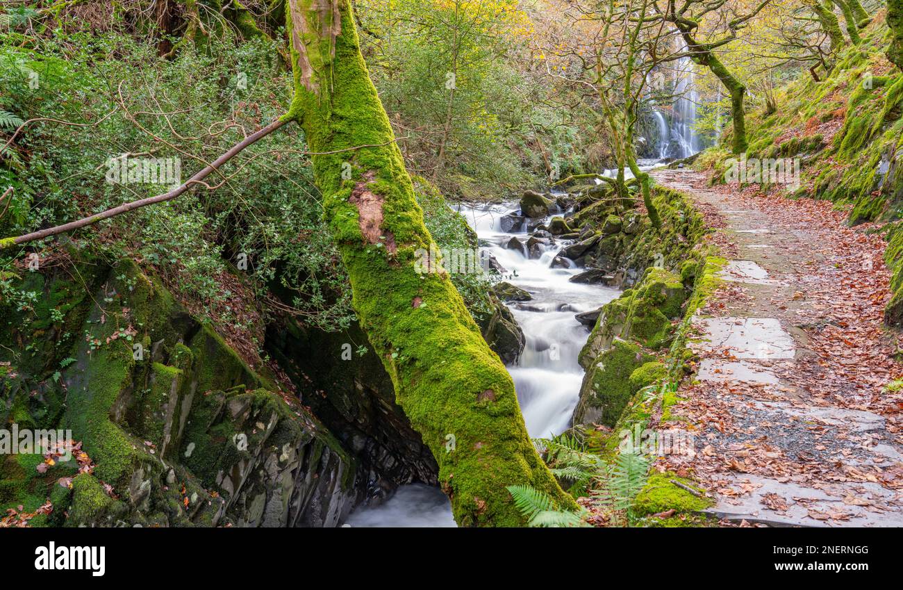 Cascade de Ceunant Mawr et de l'Afon Arddu, Llanberis, Gwynedd, pays de Galles du Nord. Photo prise en novembre 2022. Banque D'Images