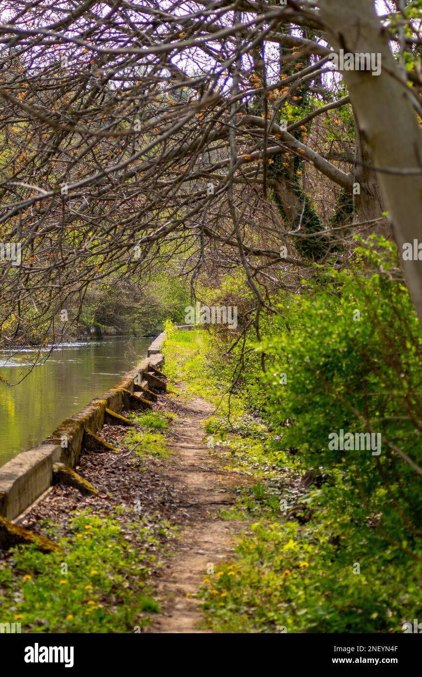 Chemin par le canal de la rivière le jour ensoleillé au printemps Banque D'Images