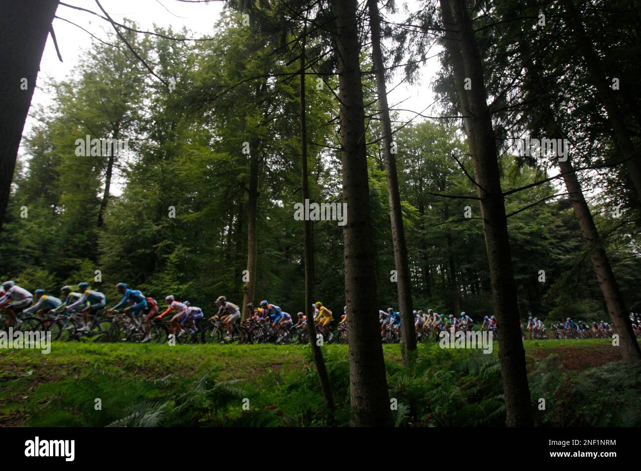 The pack with Rinaldo Nocentini of Italy, wearing the overall leader's yellow jersey, center, rides during the 13th stage of the Tour de France cycling race over 200 kilometers (124.3 miles) with start in Vittel and finish in Colmar, central France, Friday July 17, 2009. (AP Photo/Christophe Ena) Banque D'Images