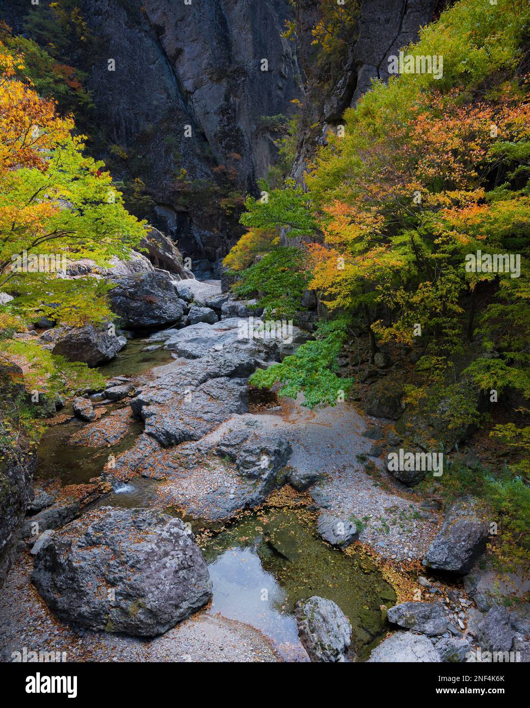 Un petit ruisseau et des feuilles colorées sur Juwangsan pendant l'automne en Corée. Banque D'Images